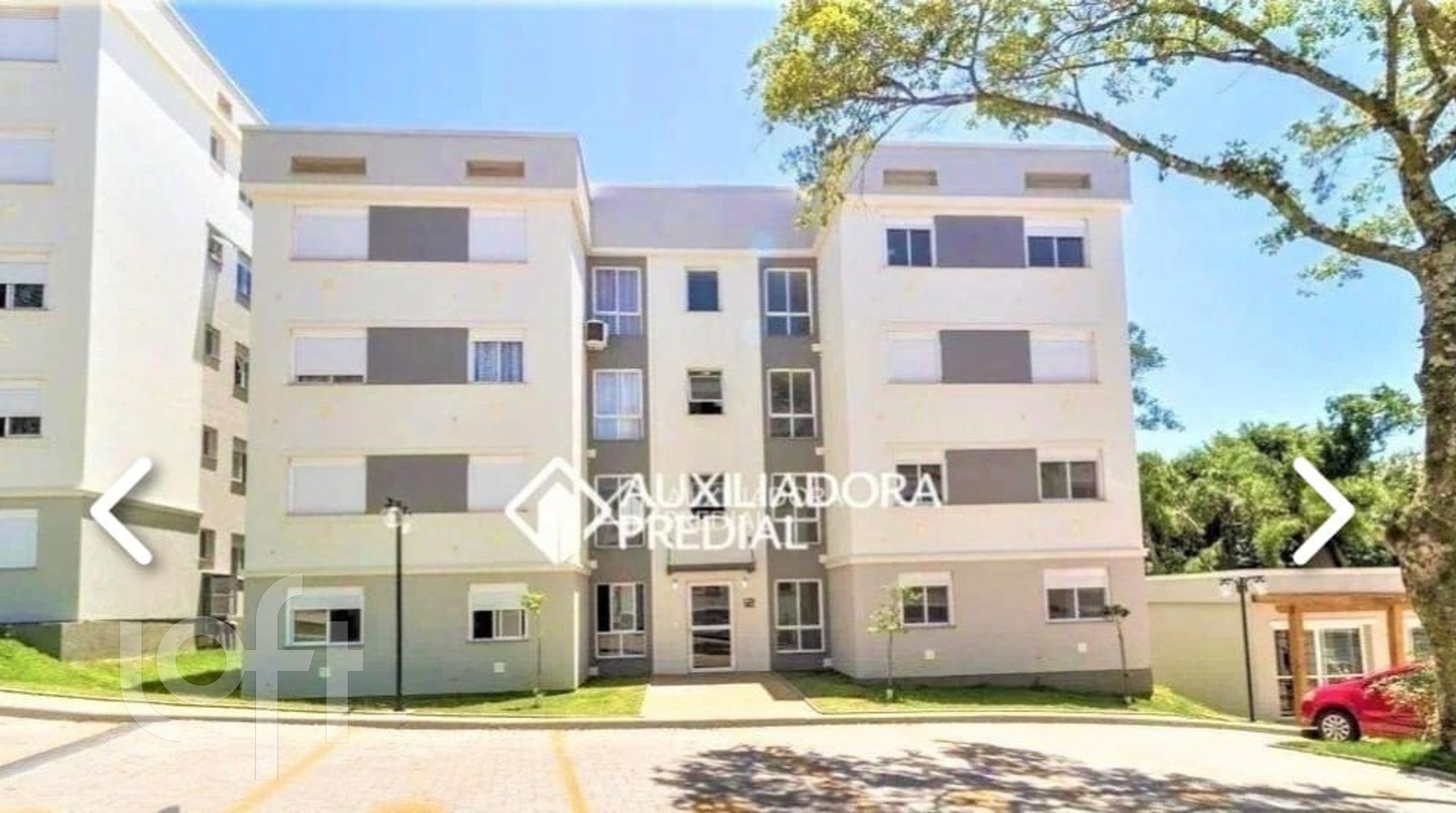 Imagem da propriedade 34