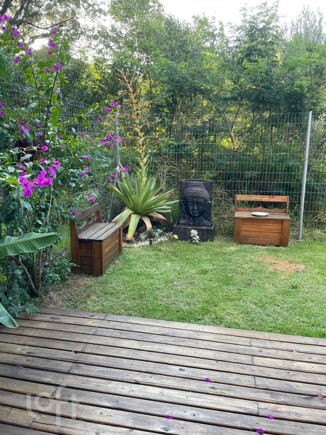 Imagem da propriedade 18