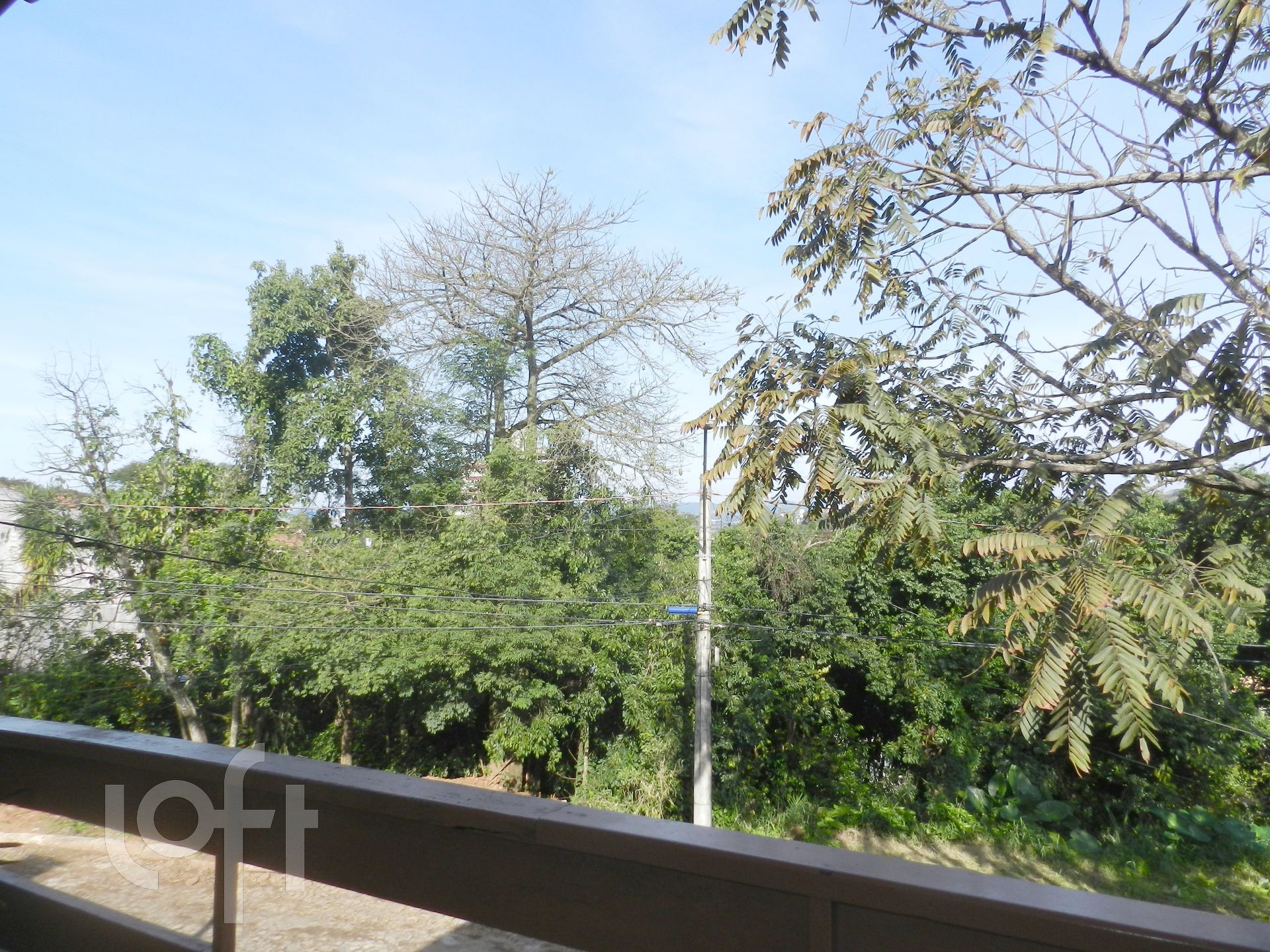 Imagem da propriedade 10