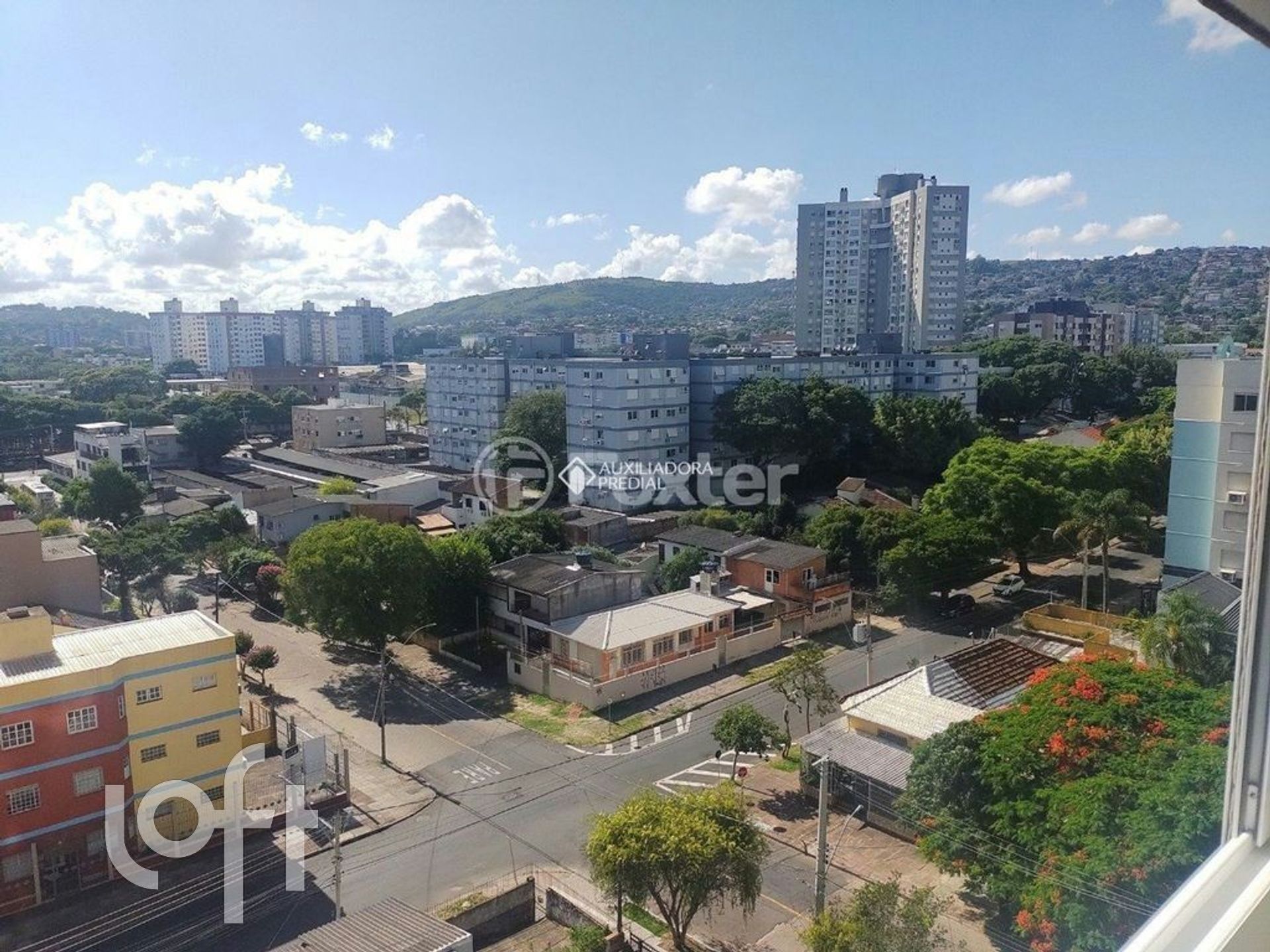 Imagem da propriedade 8