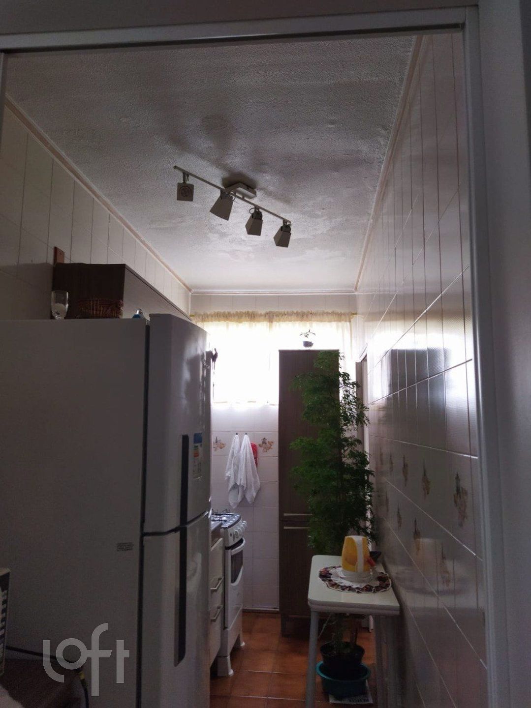 Imagem da propriedade 7