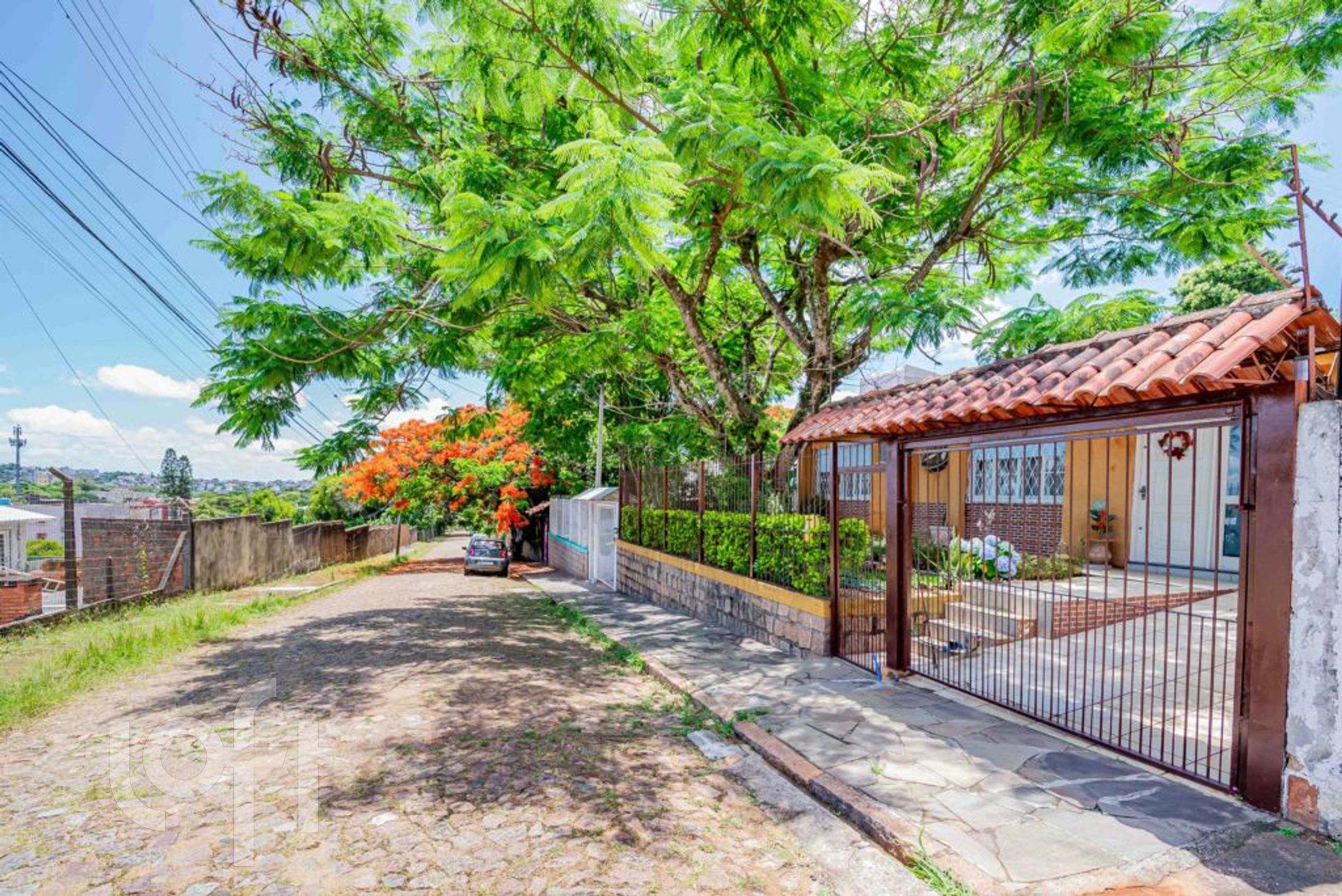 Imagem da propriedade 40