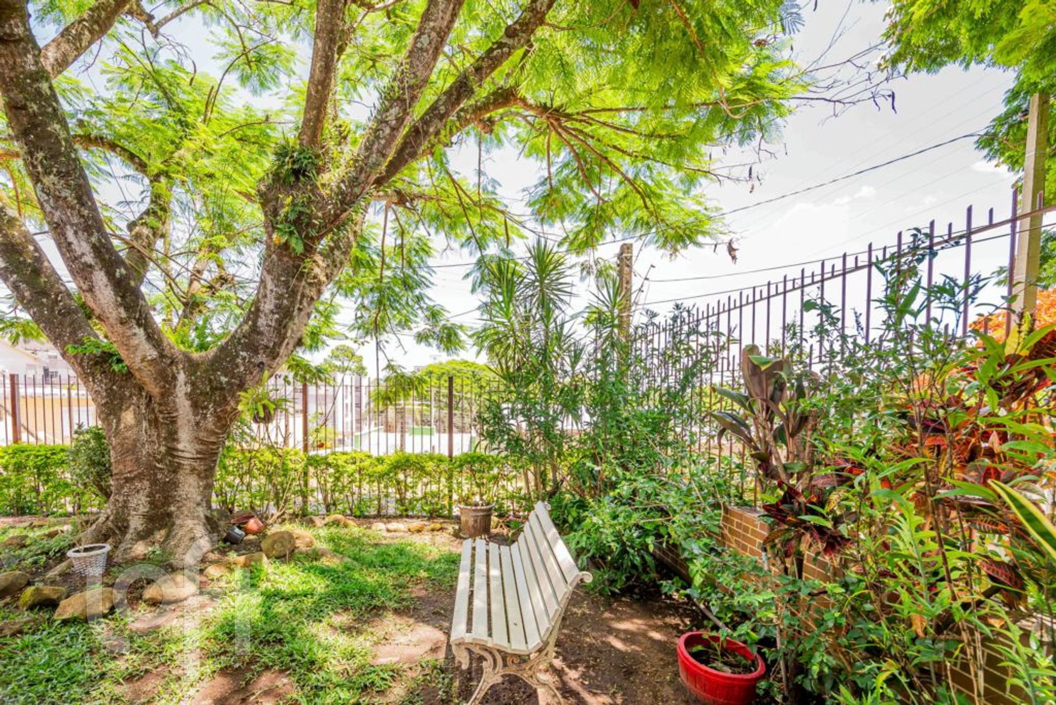 Imagem da propriedade 21