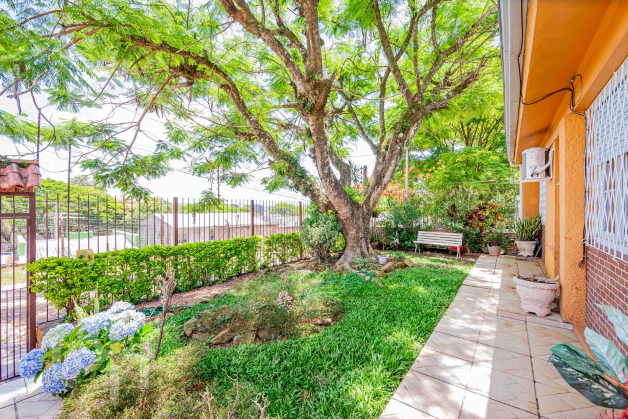 Imagem da propriedade 38