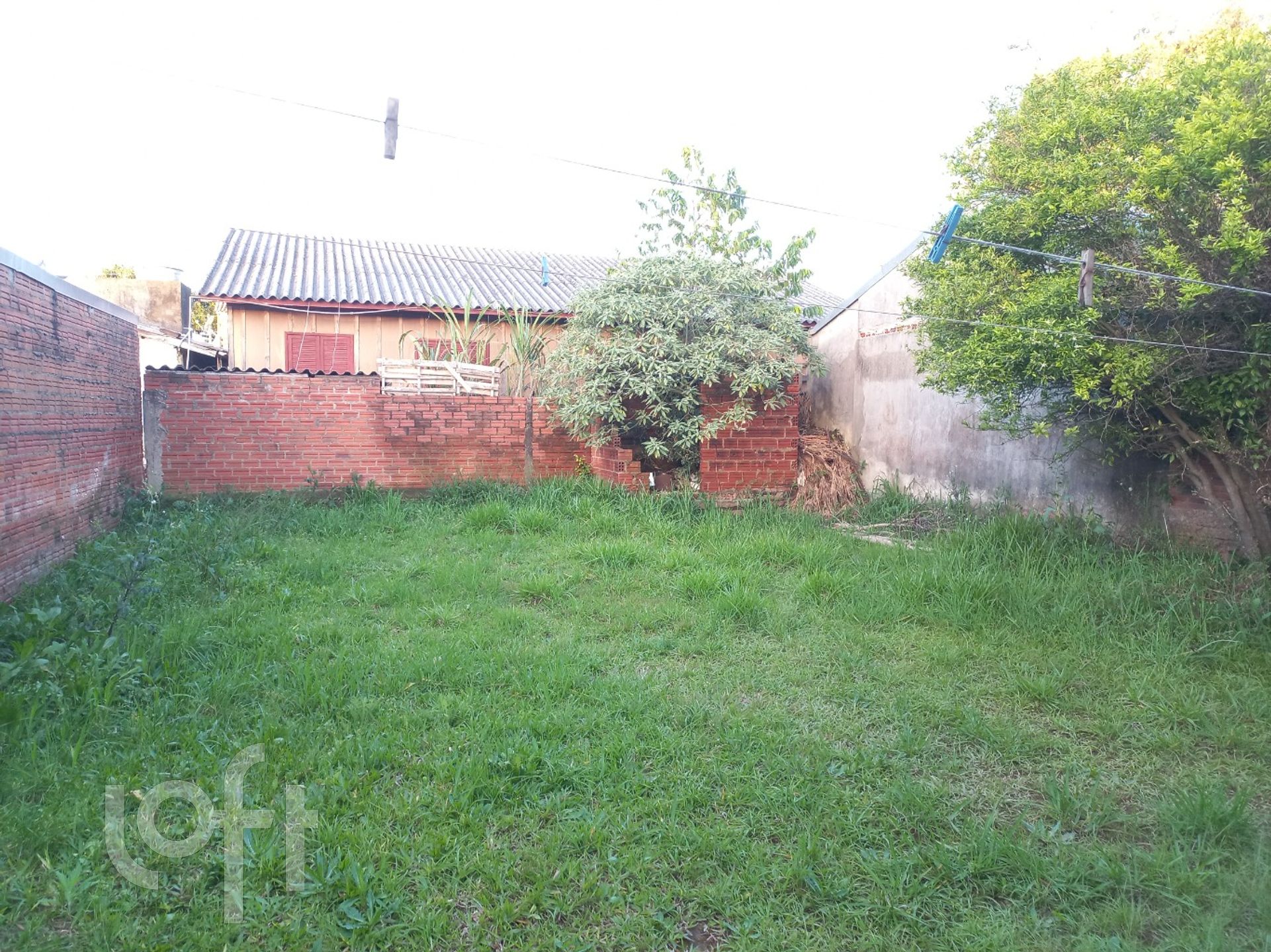 Imagem da propriedade 11