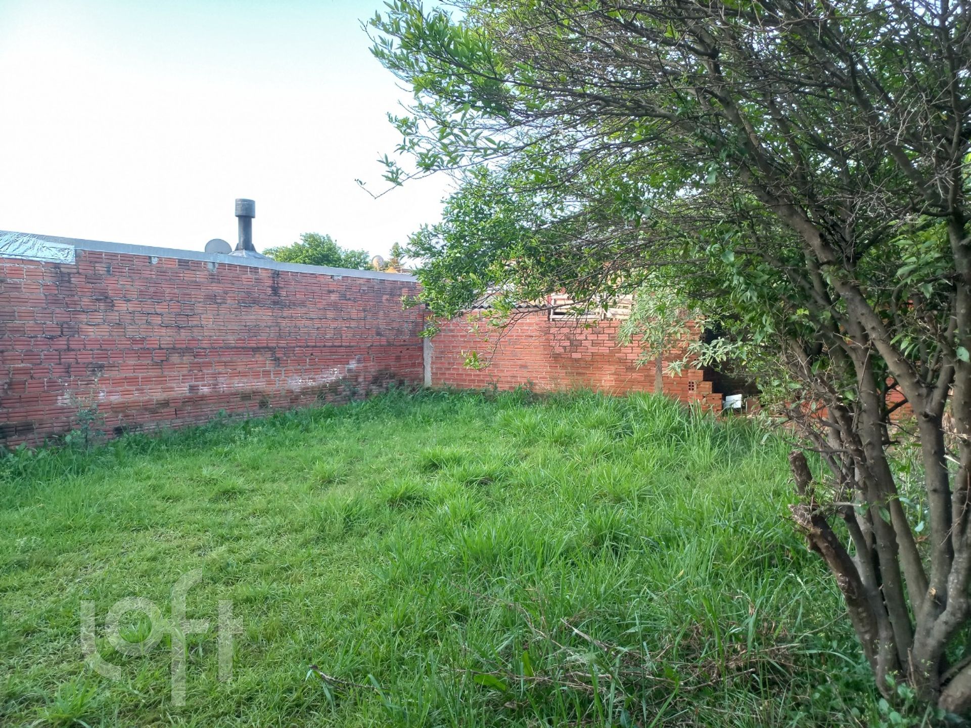 Imagem da propriedade 12