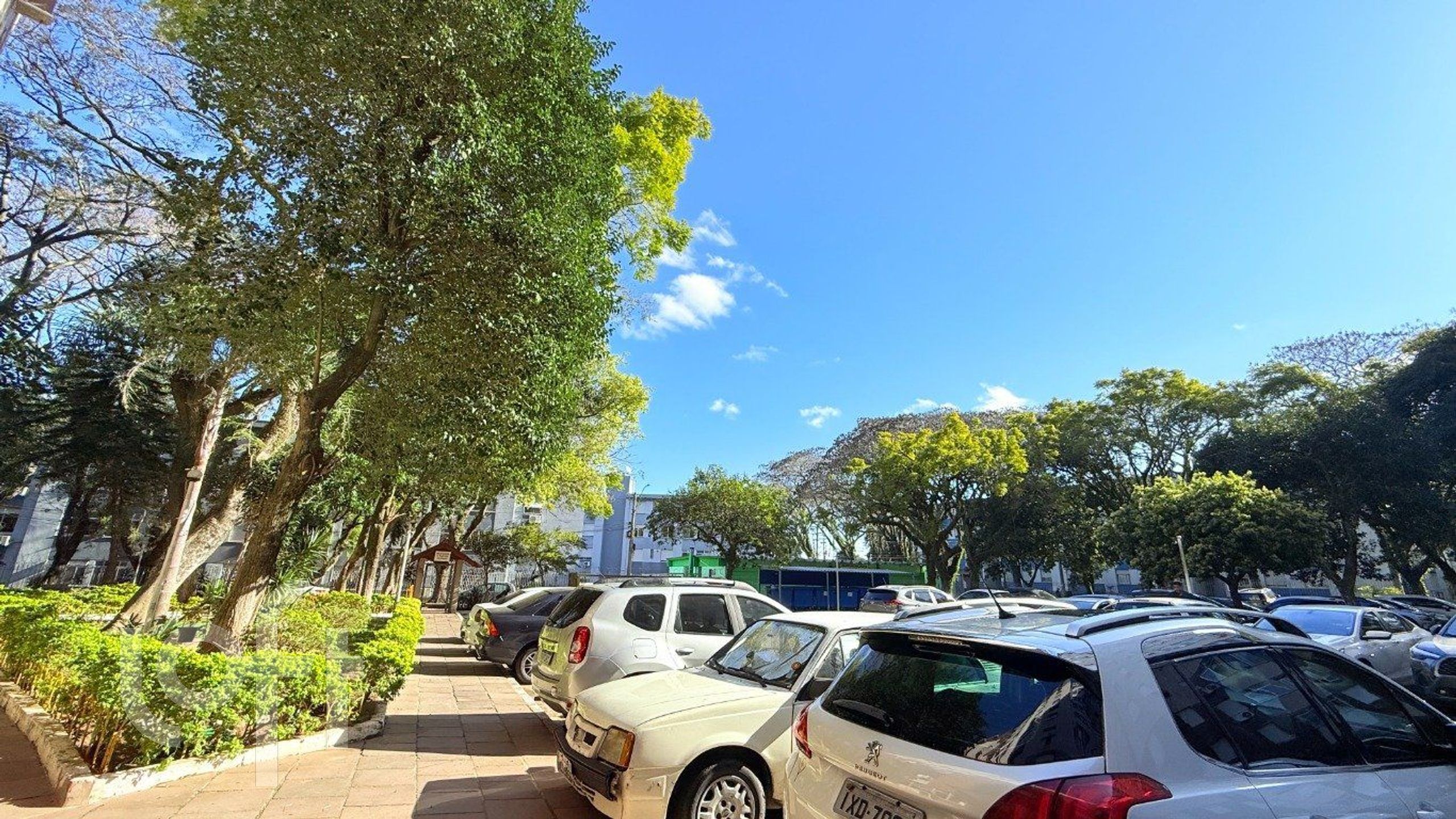 Imagem da propriedade 20