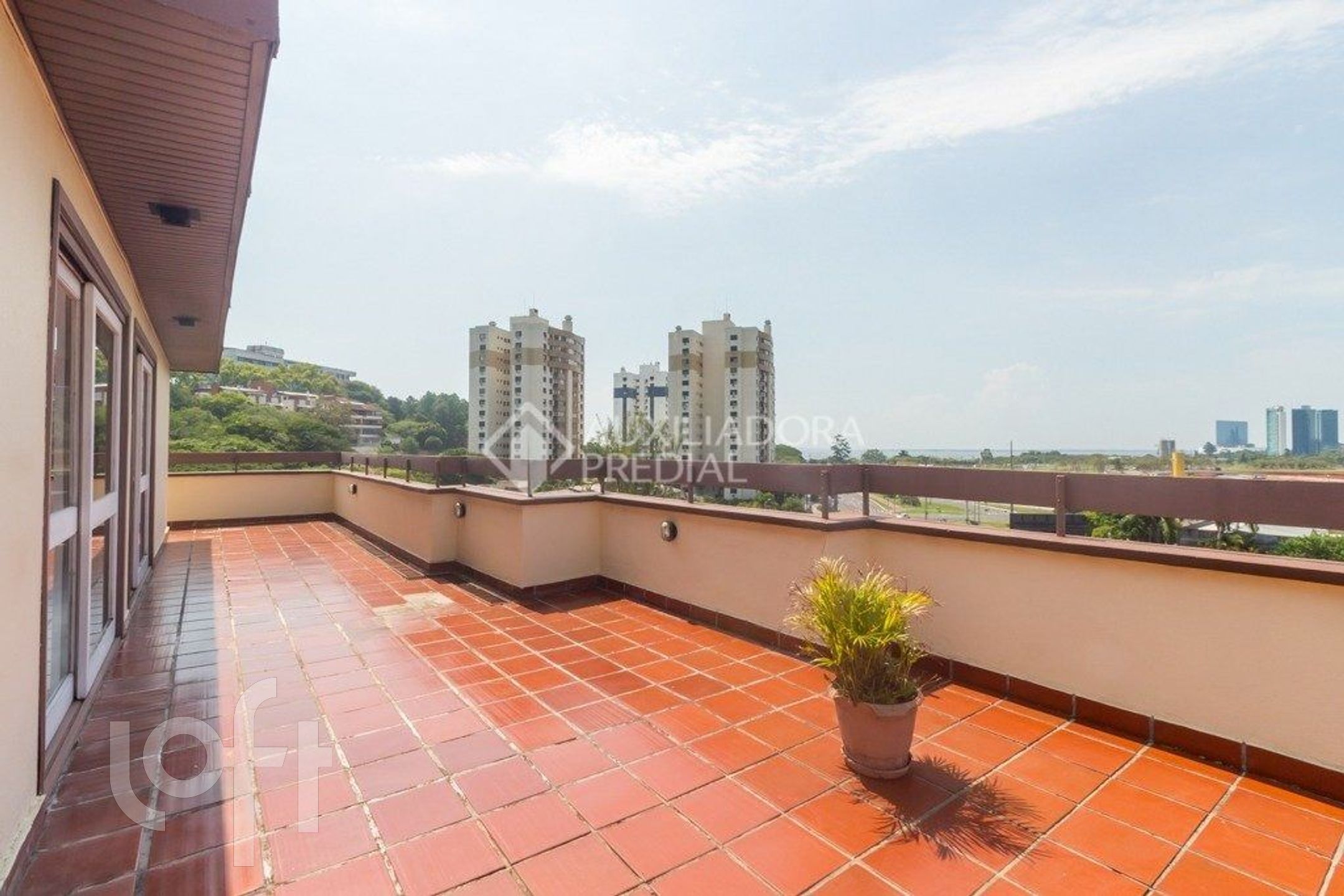 Imagem da propriedade 3