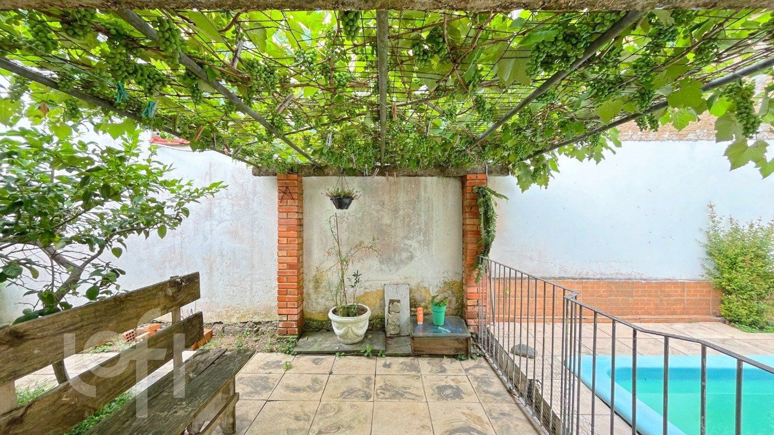 Imagem da propriedade 7