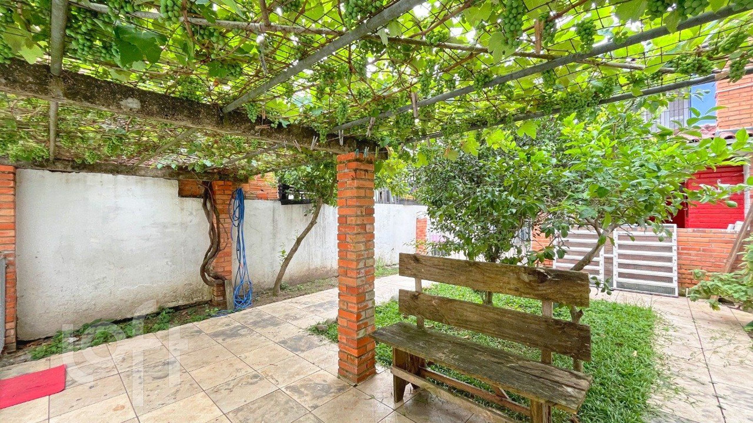 Imagem da propriedade 5