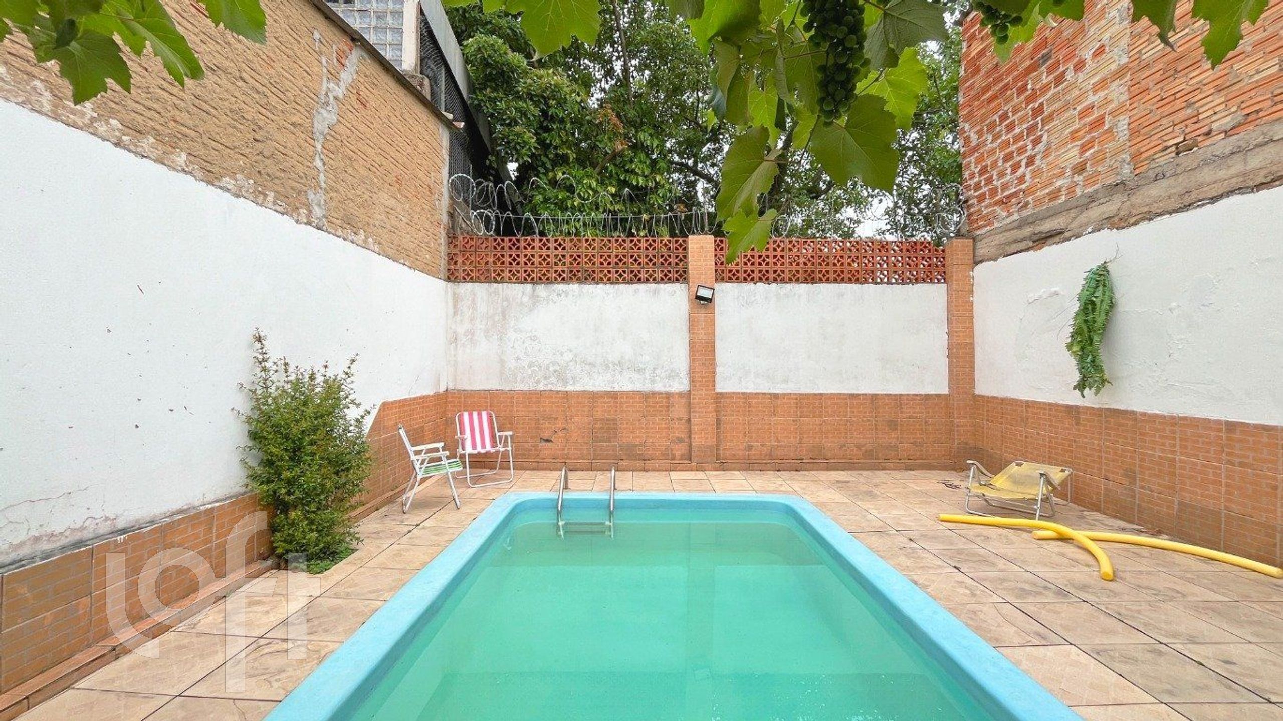 Imagem da propriedade 6