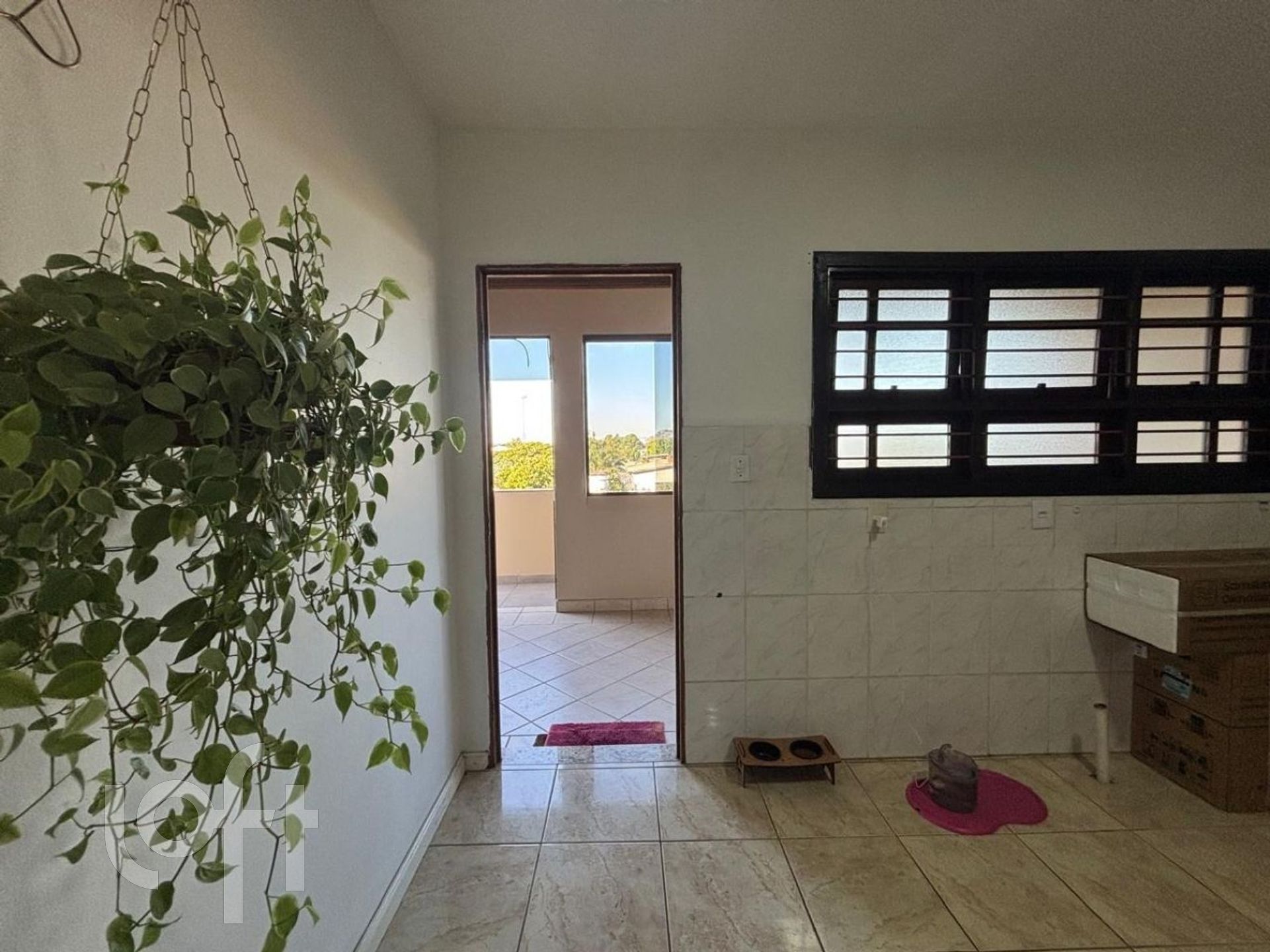 Imagem da propriedade 29