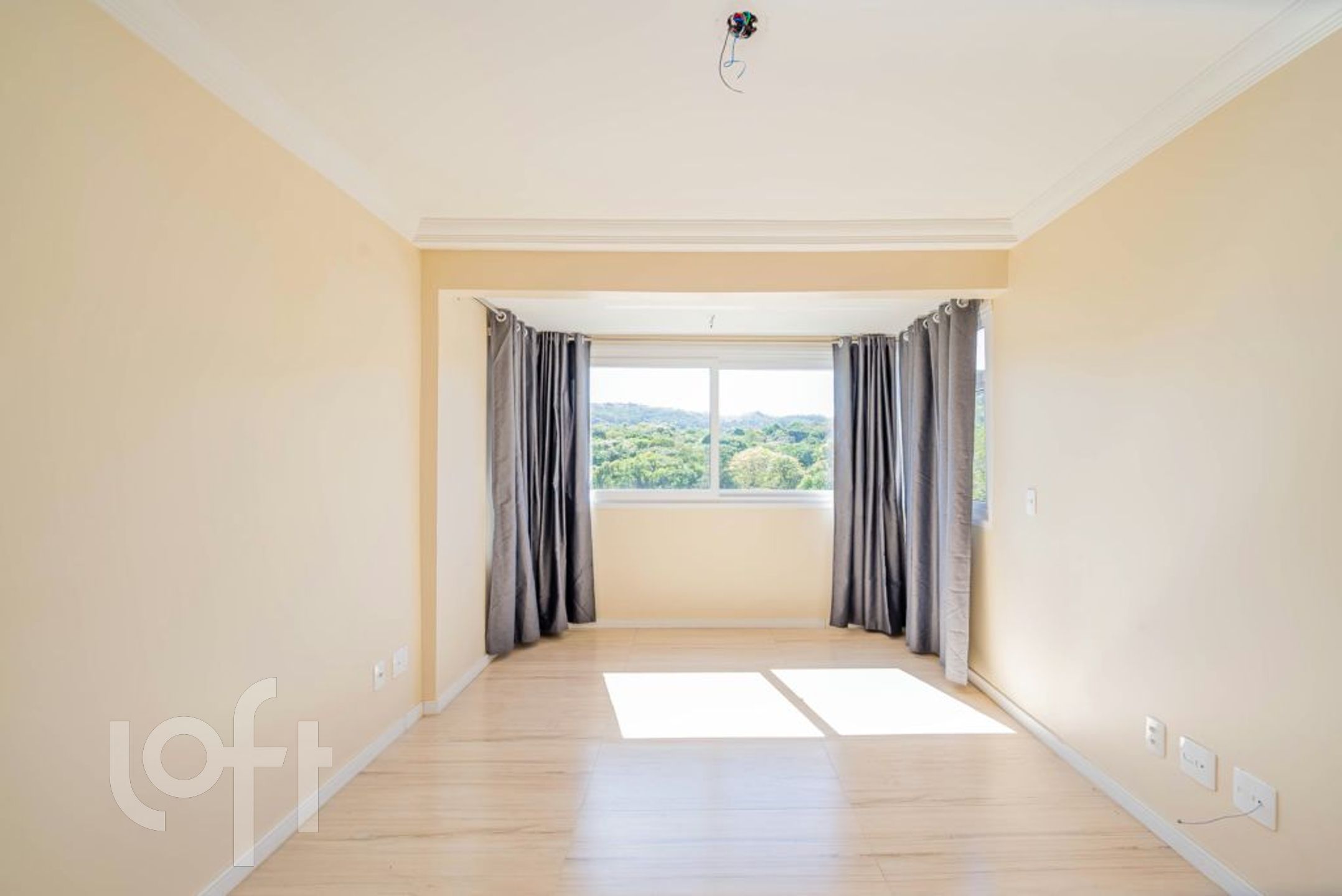 Imagem da propriedade 3