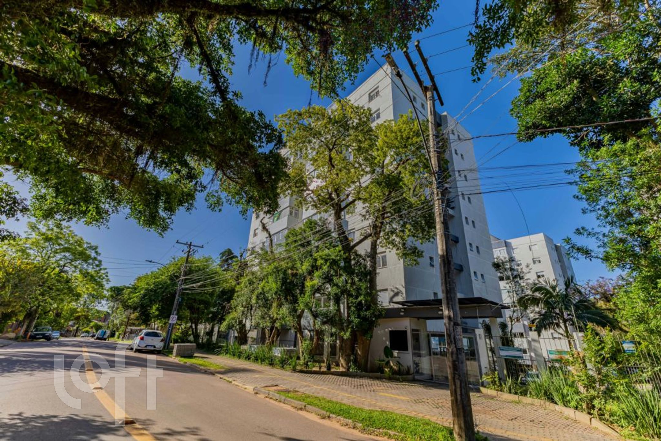 Imagem da propriedade 32