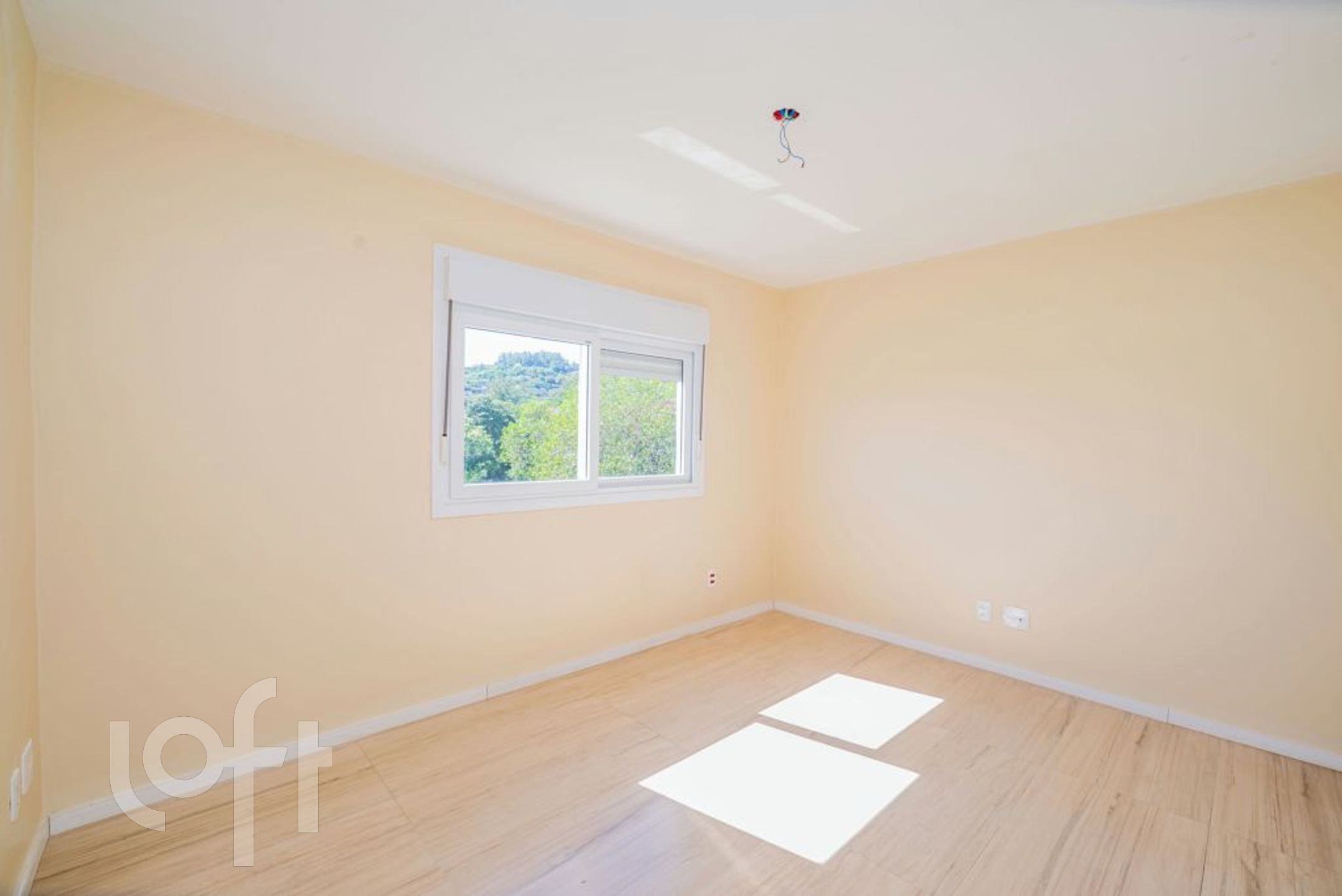 Imagem da propriedade 18