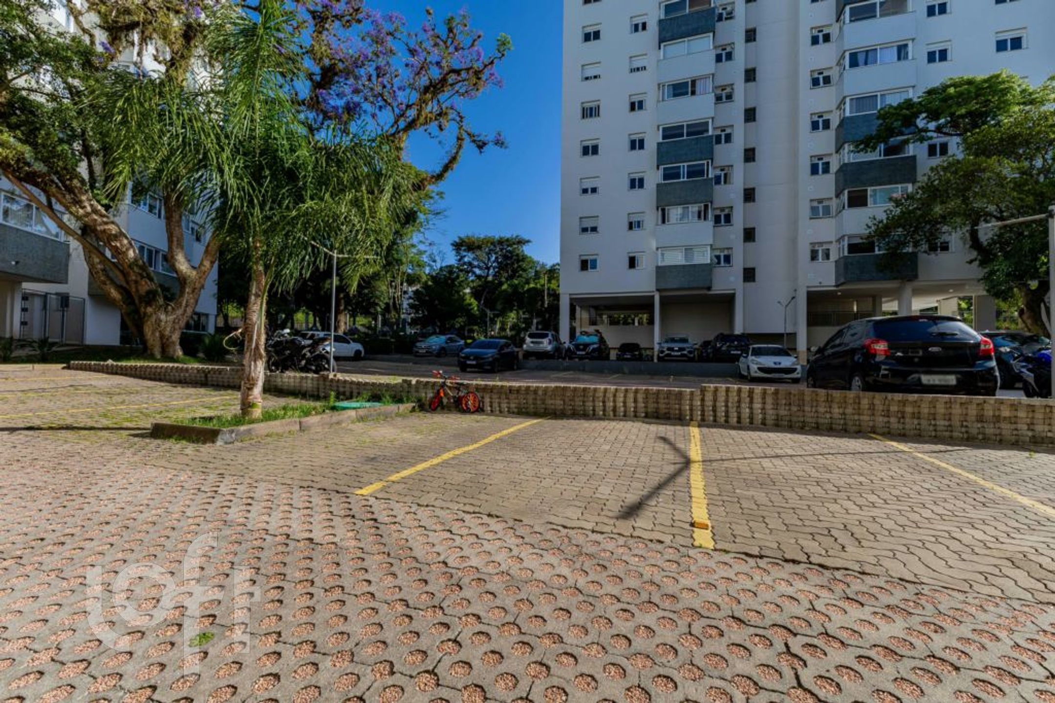 Imagem da propriedade 36