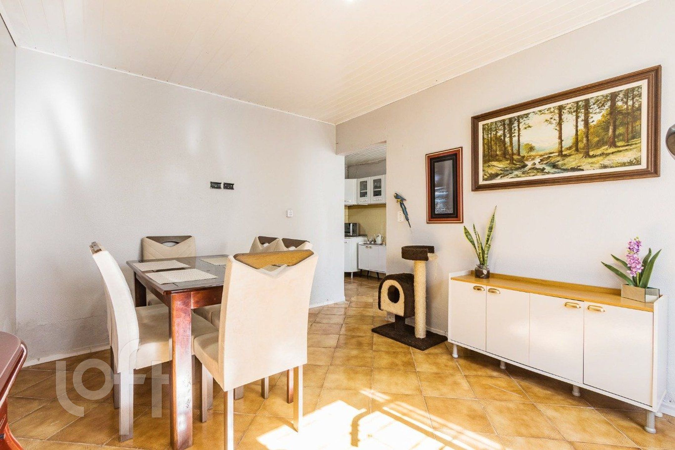 Imagem da propriedade 8