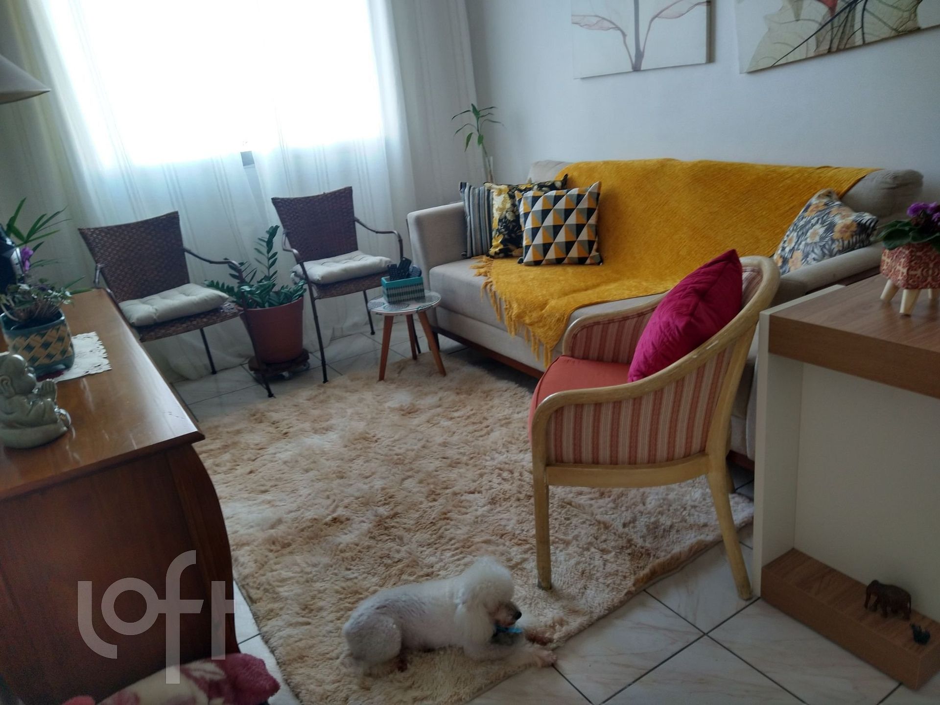 Apartamento à venda com 2 quartos, 56m² - Foto 1