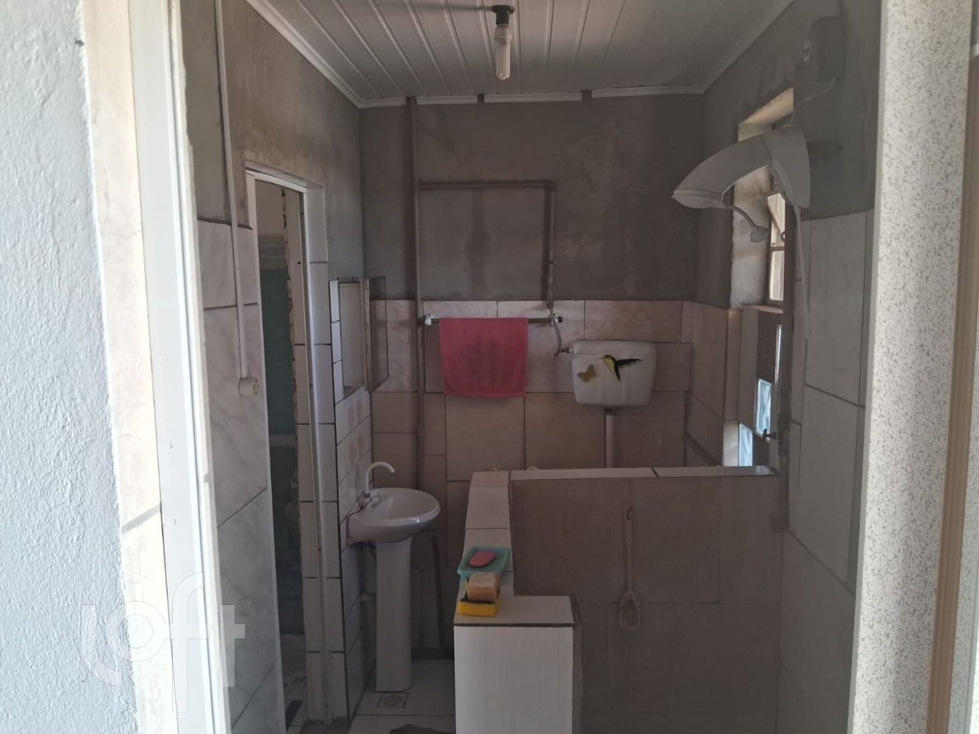 Imagem da propriedade 6