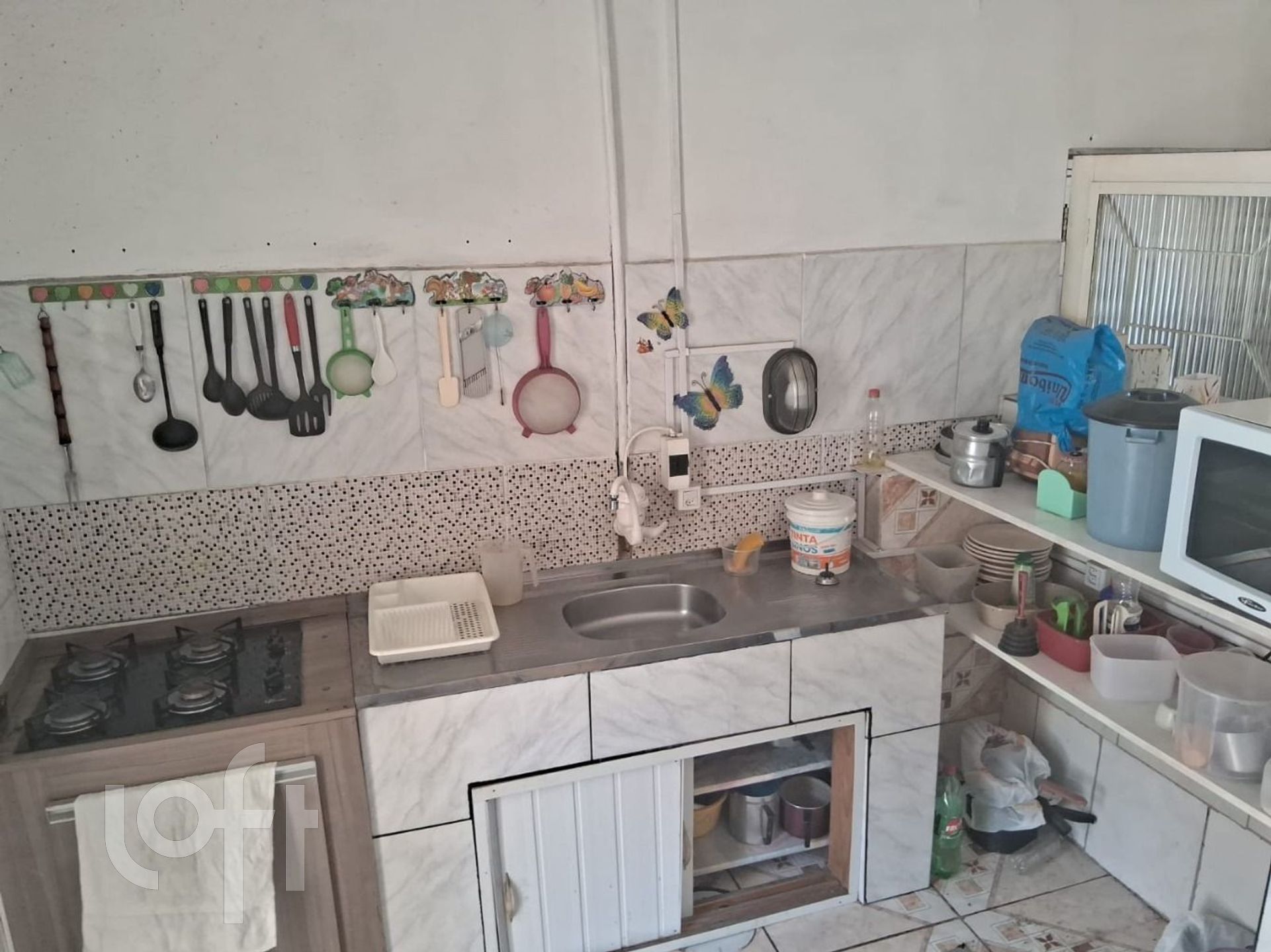 Imagem da propriedade 13