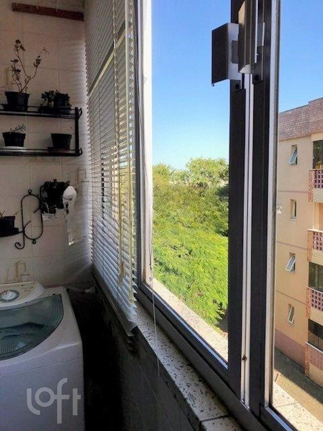 Imagem da propriedade 10