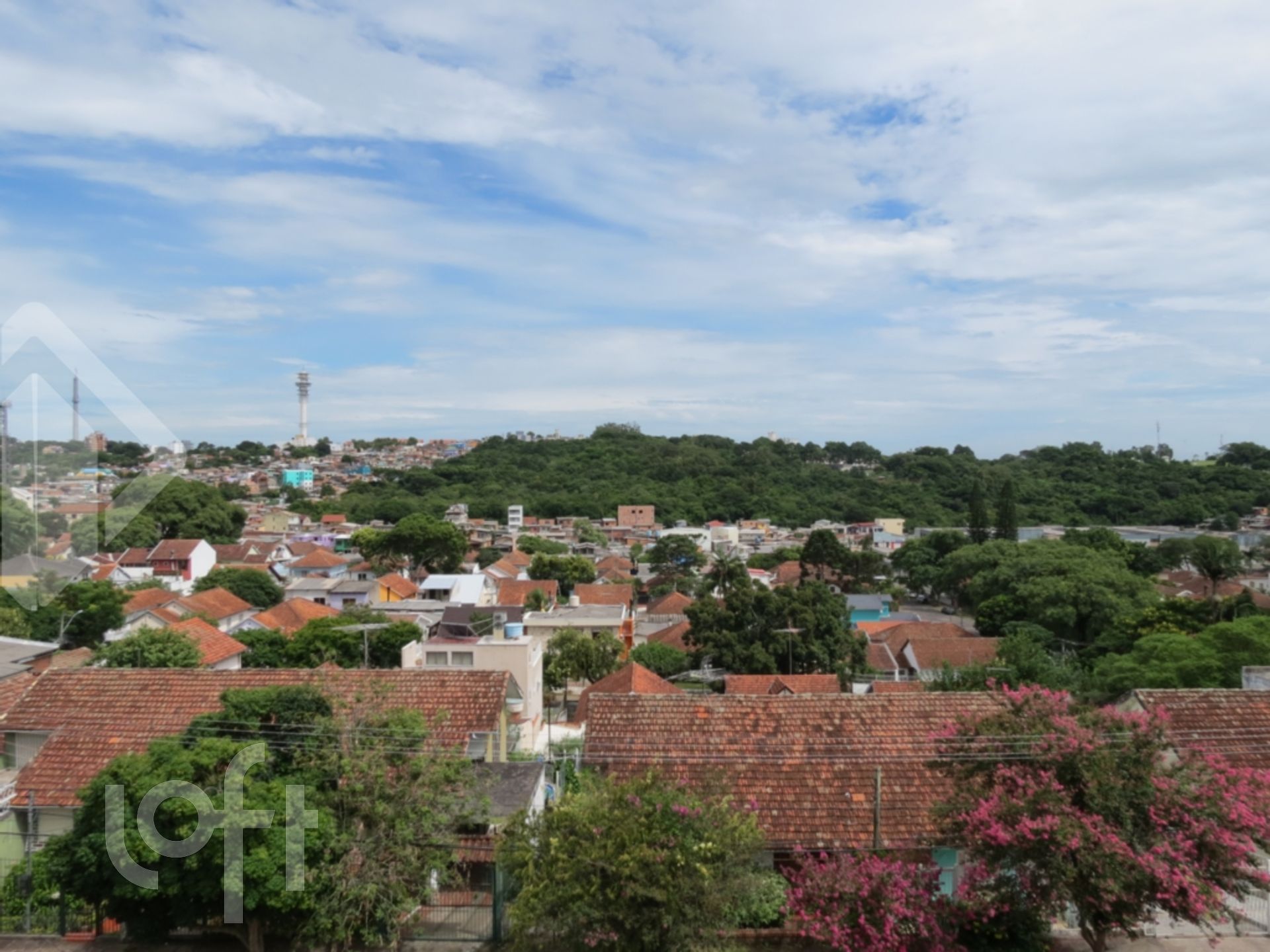 Imagem da propriedade 35