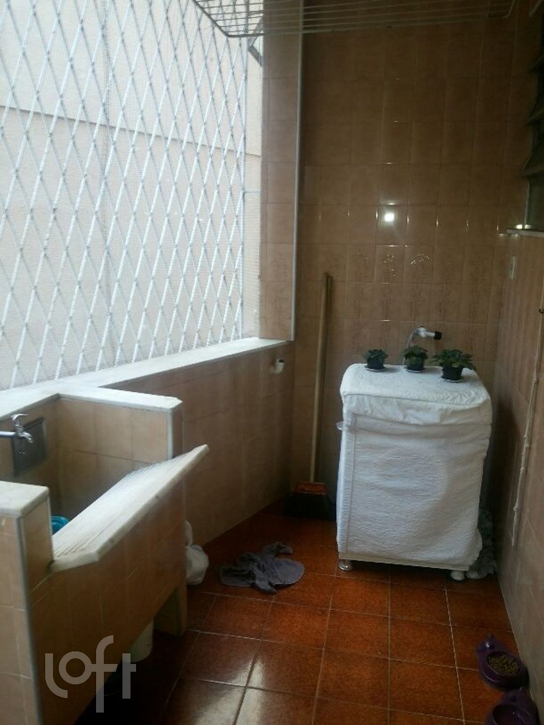 Imagem da propriedade 6