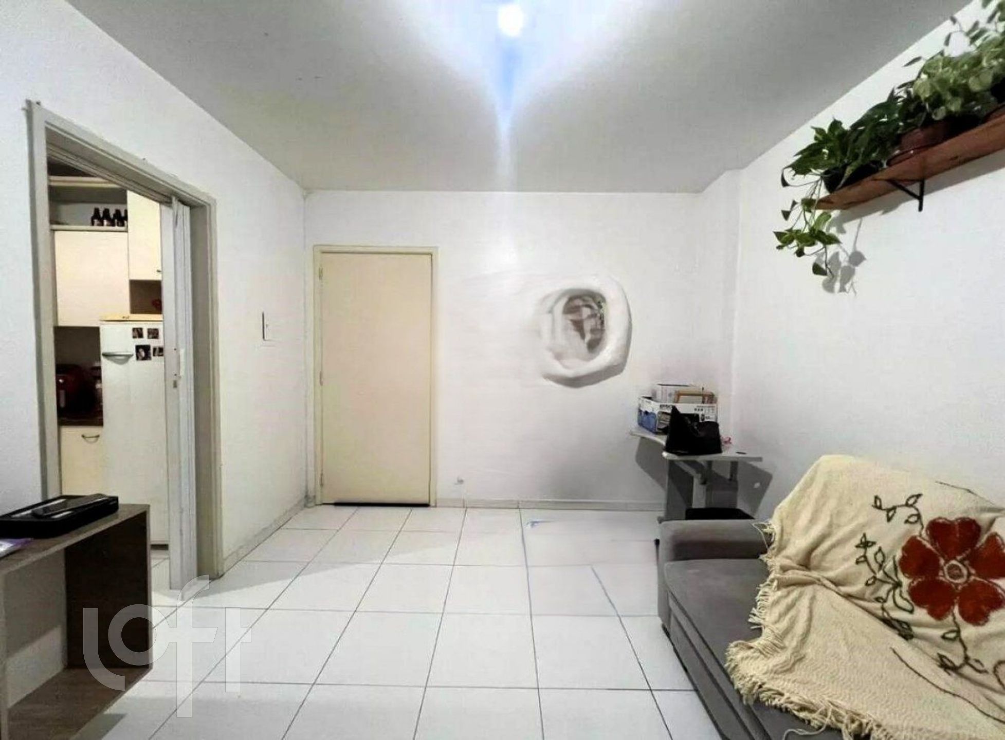 Imagem da propriedade 4