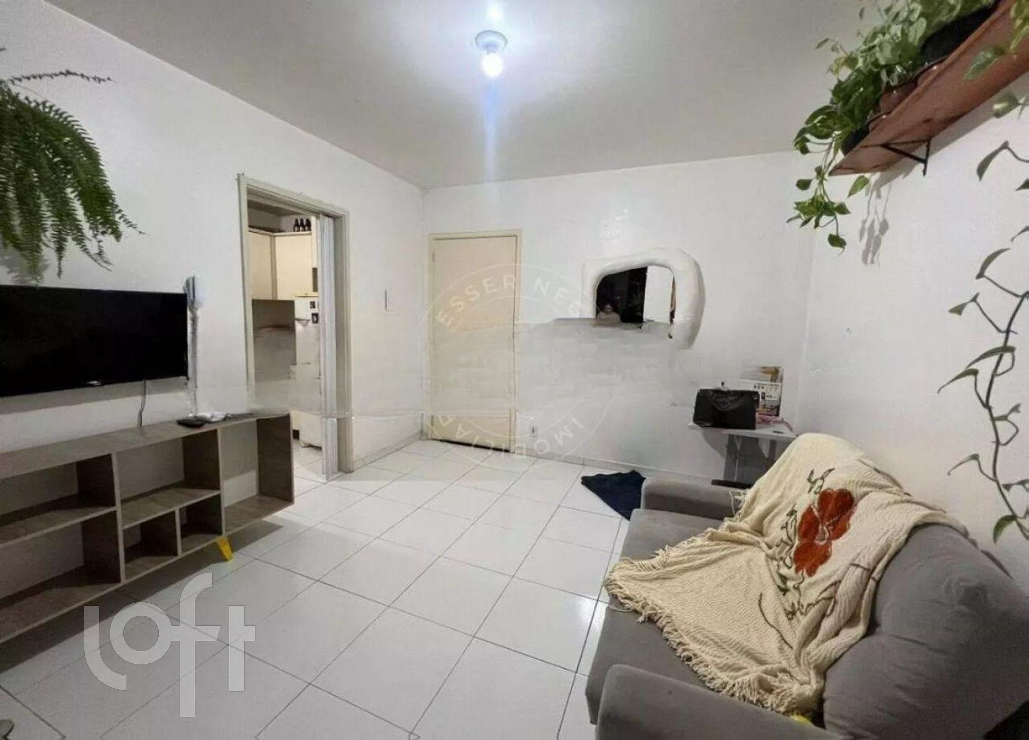 Imagem da propriedade 2