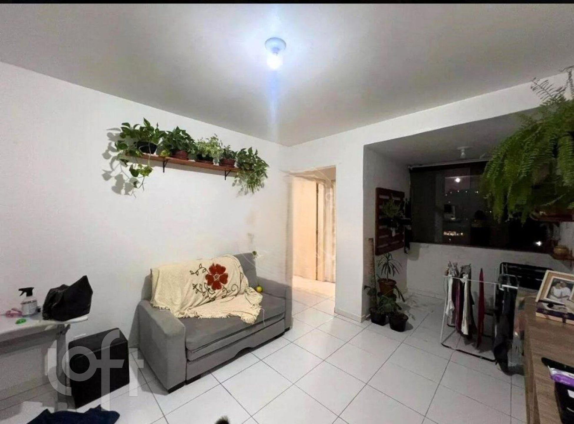 Imagem da propriedade 7