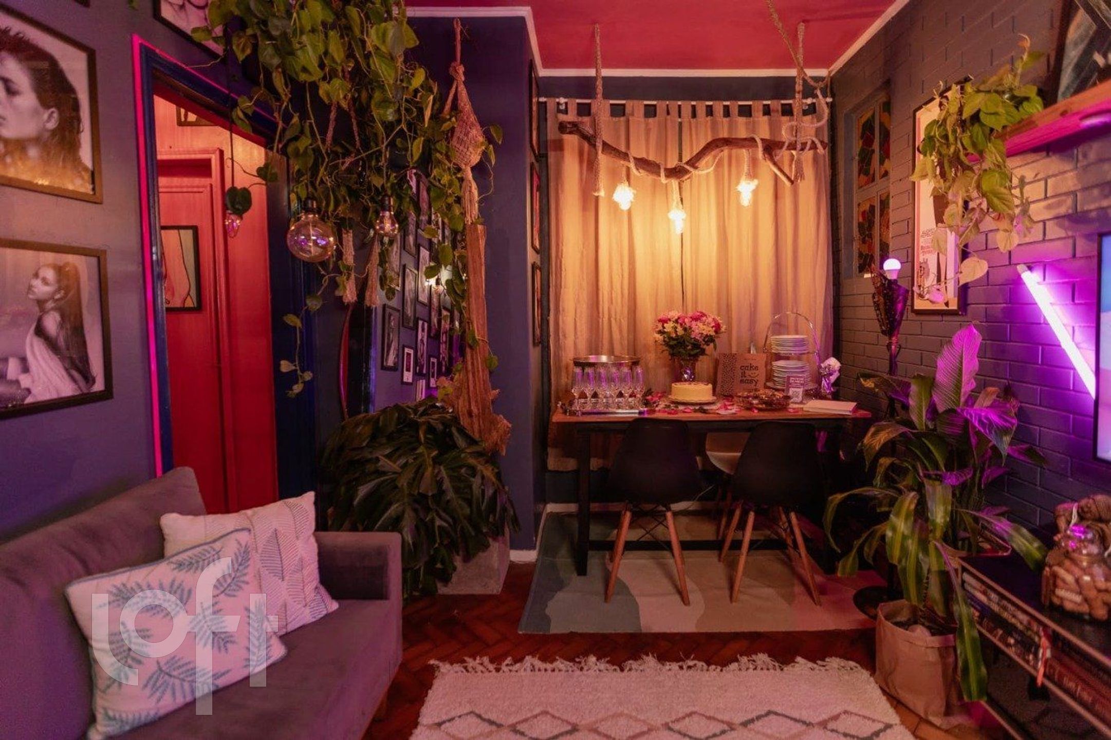 Imagem da propriedade 8