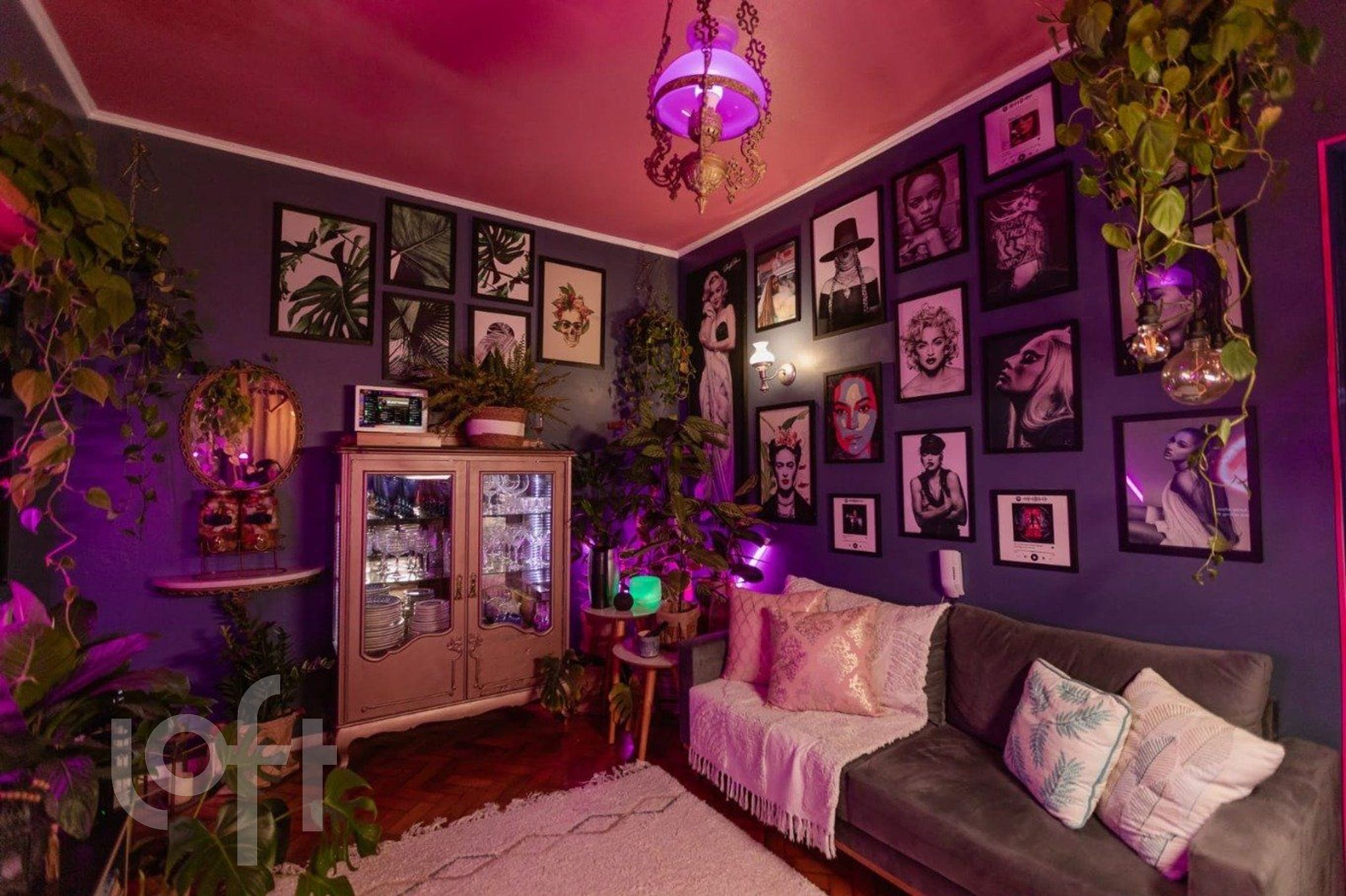 Imagem da propriedade 4