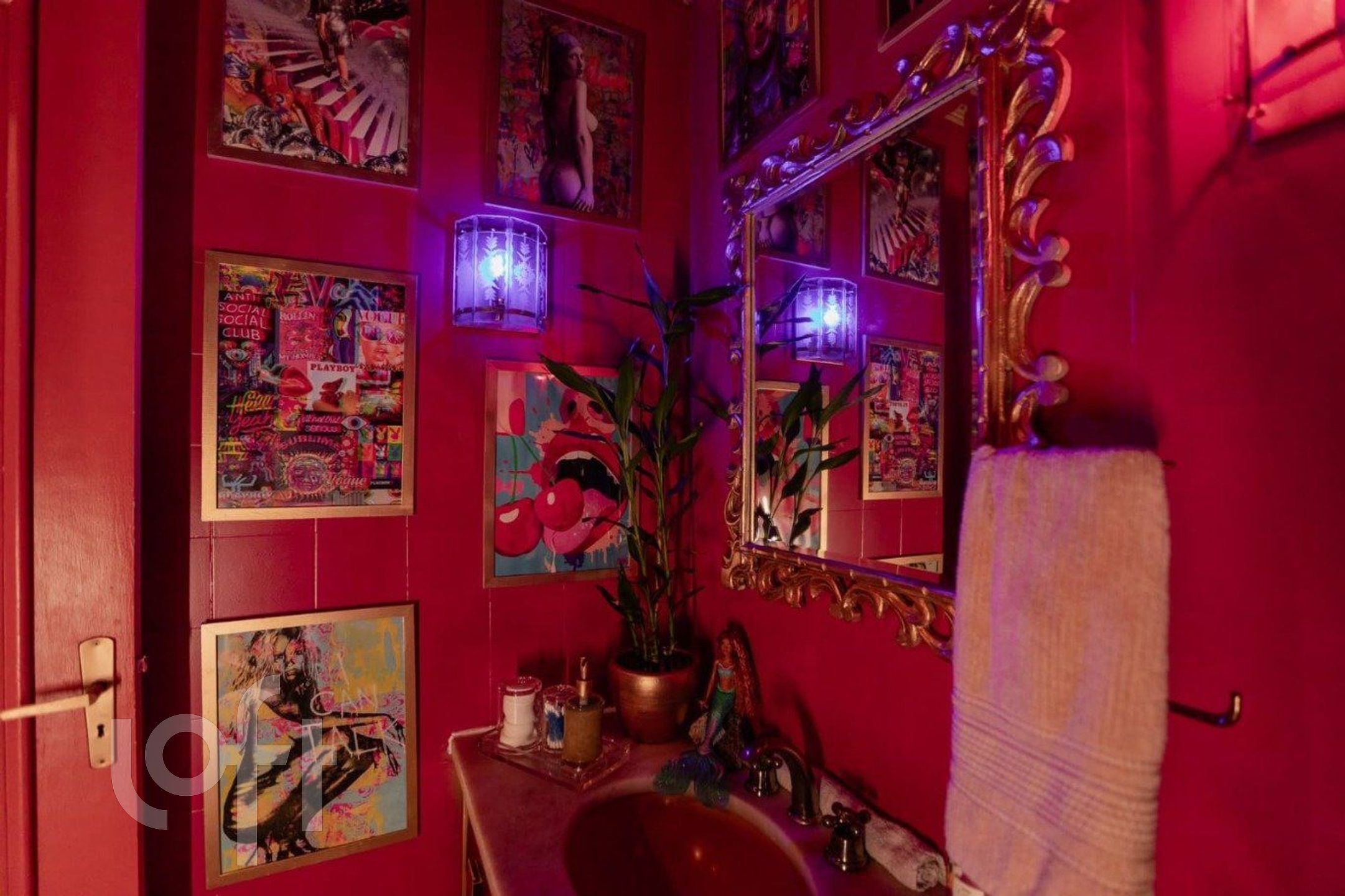 Imagem da propriedade 12