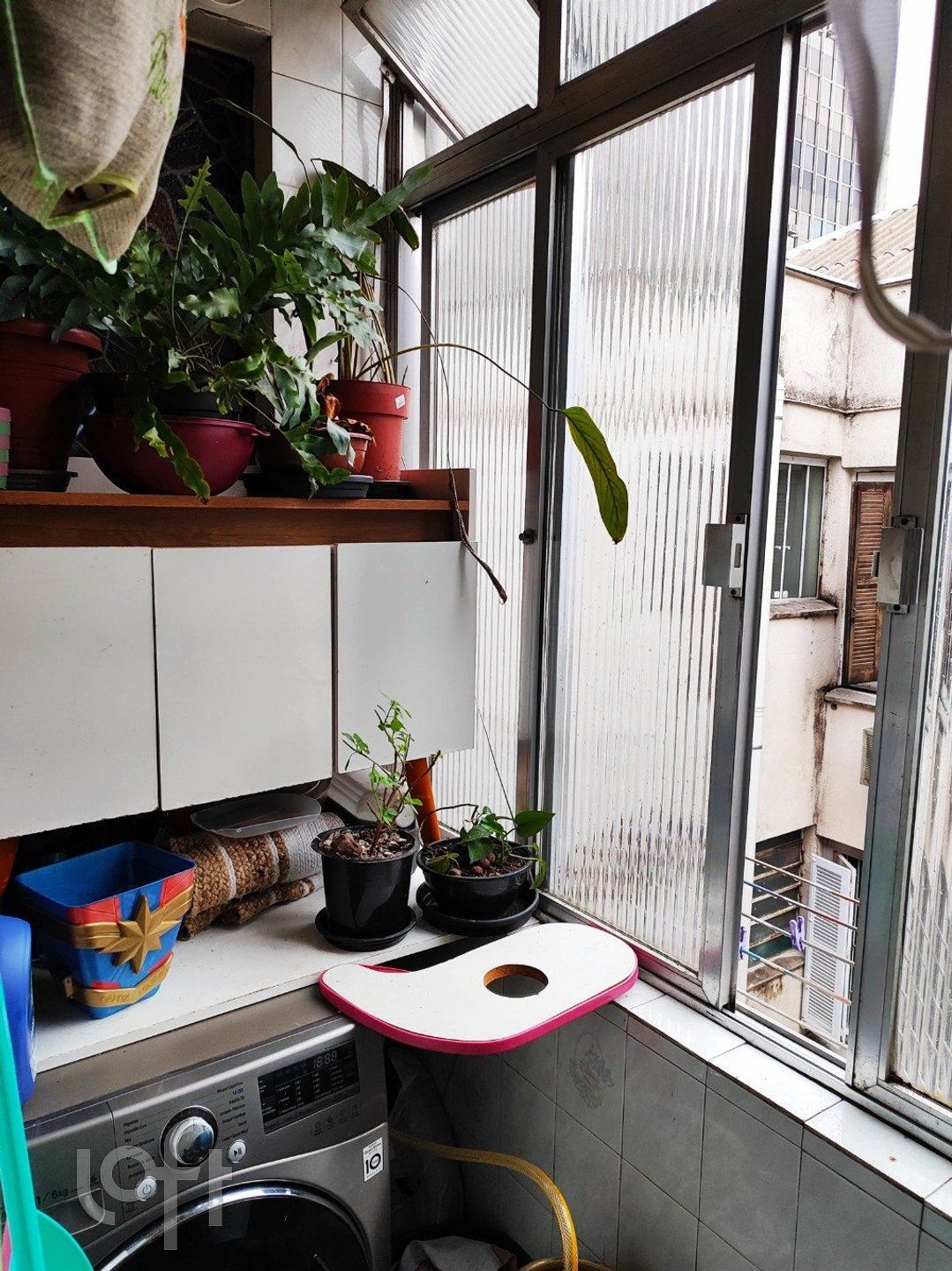 Imagem da propriedade 18