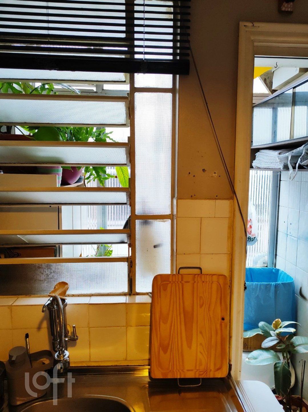 Imagem da propriedade 16