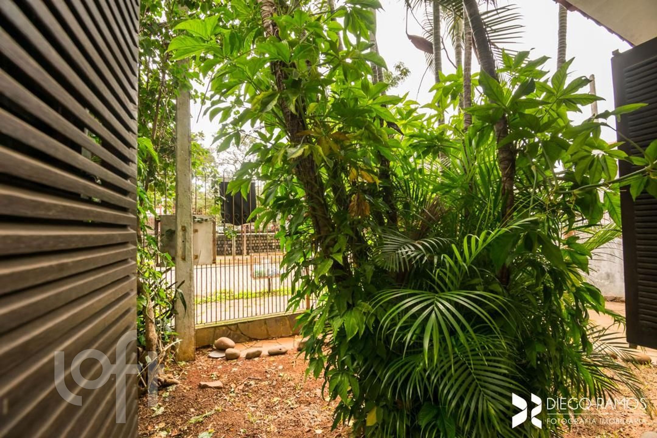 Imagem da propriedade 6