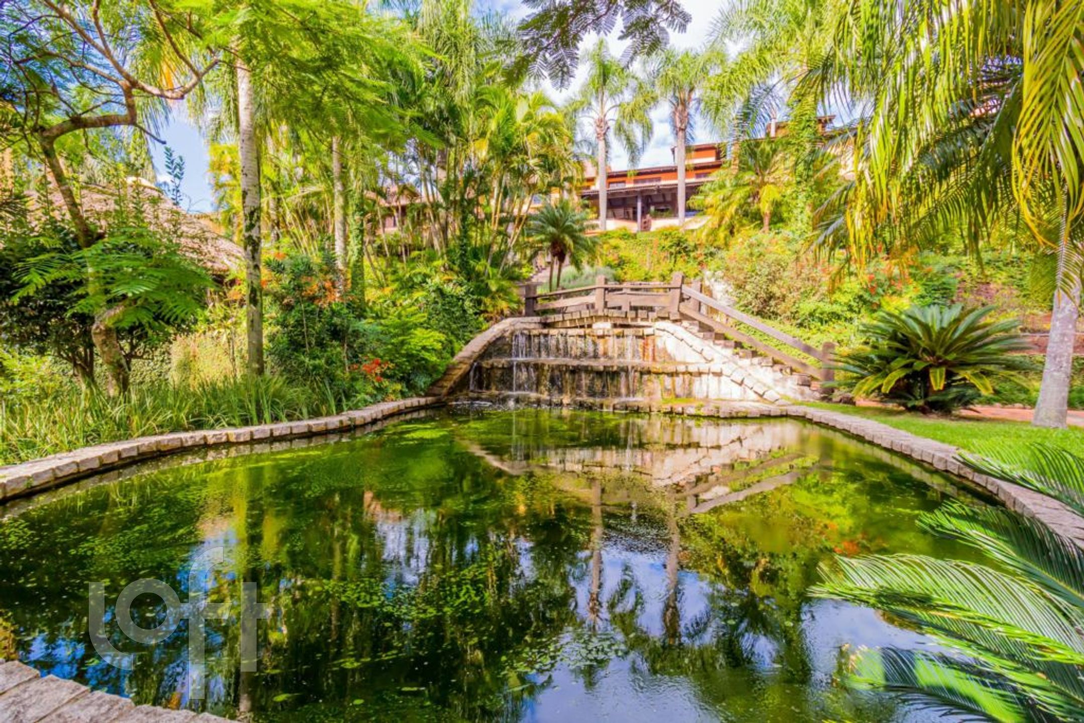 Imagem da propriedade 95