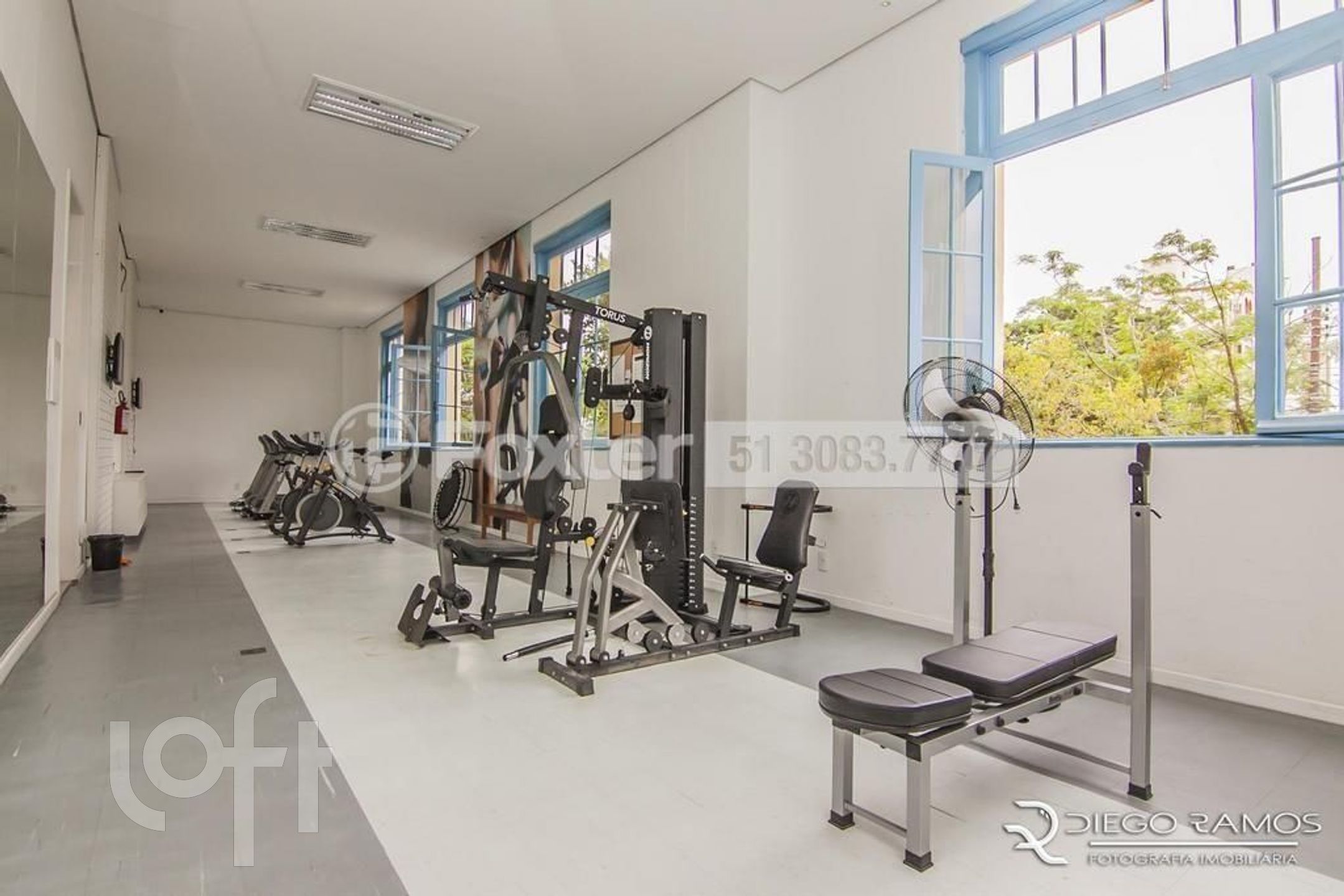 Imagem da propriedade 11