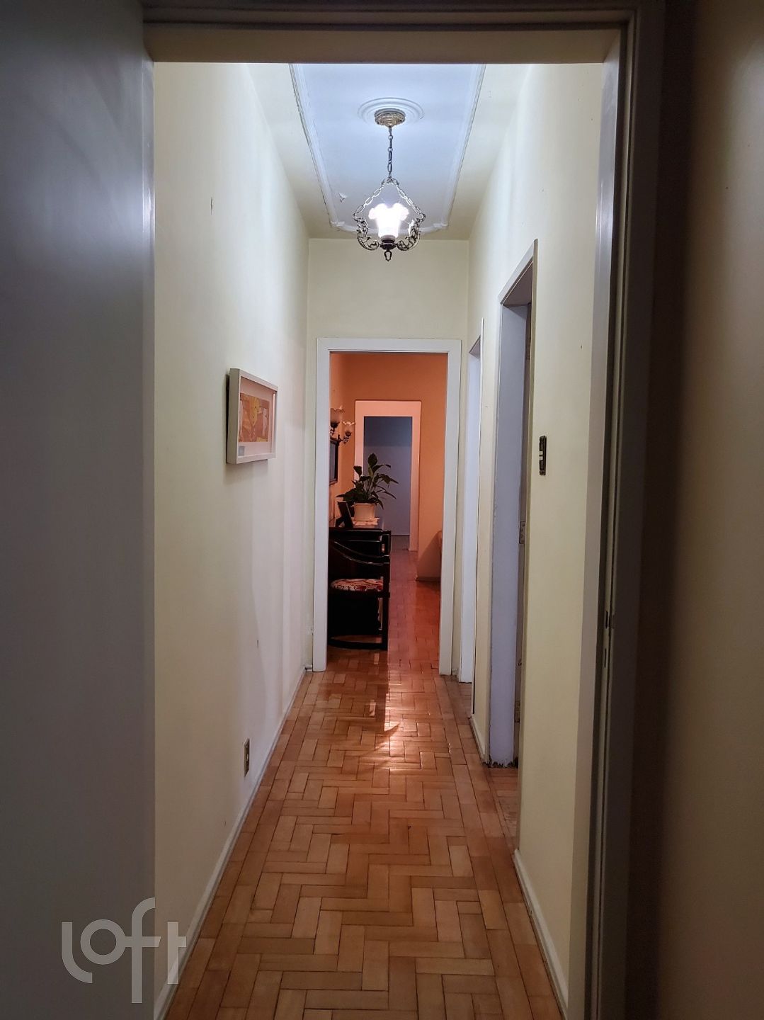 Imagem da propriedade 11