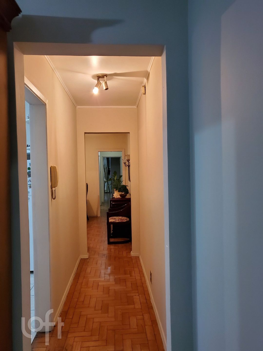 Imagem da propriedade 3