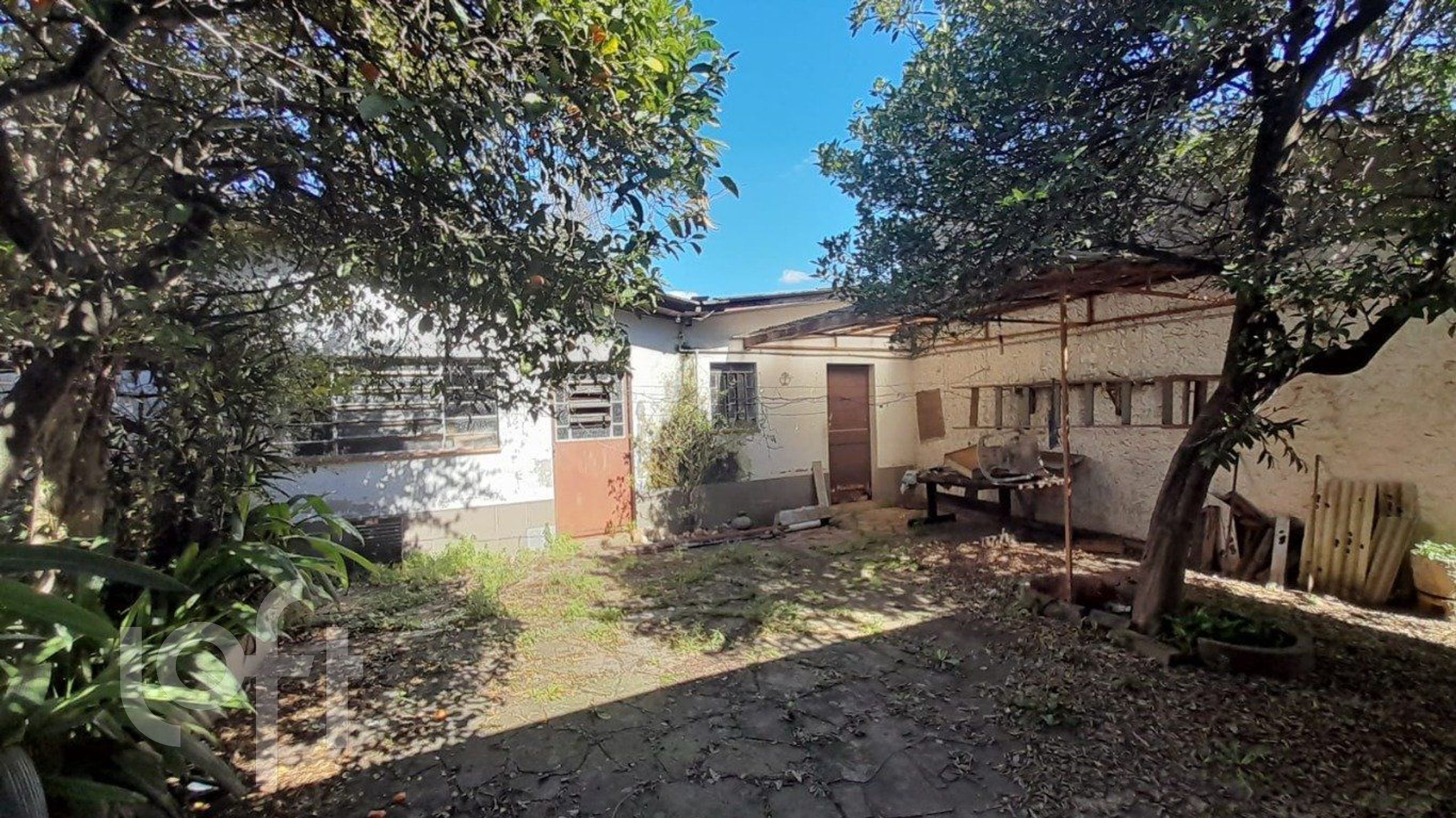 Imagem da propriedade 15