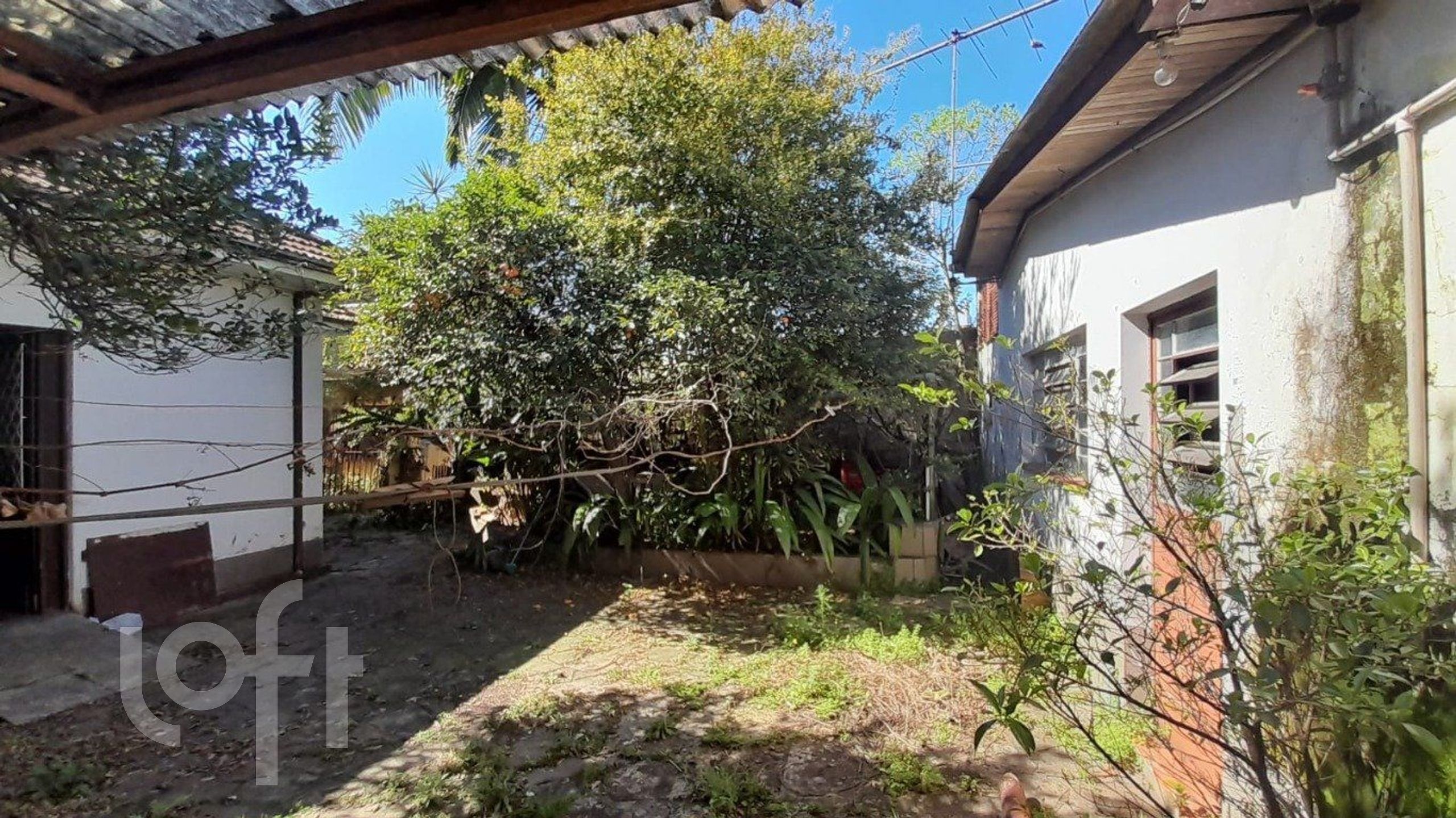 Imagem da propriedade 16