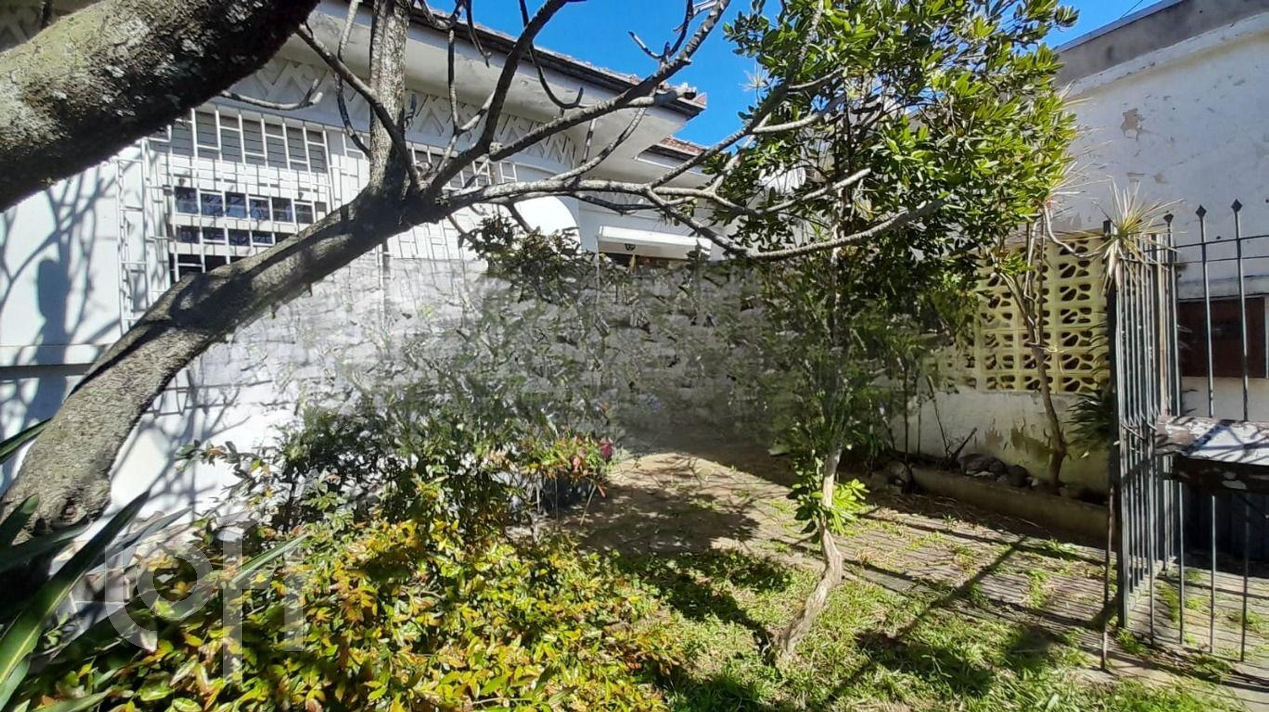 Imagem da propriedade 7