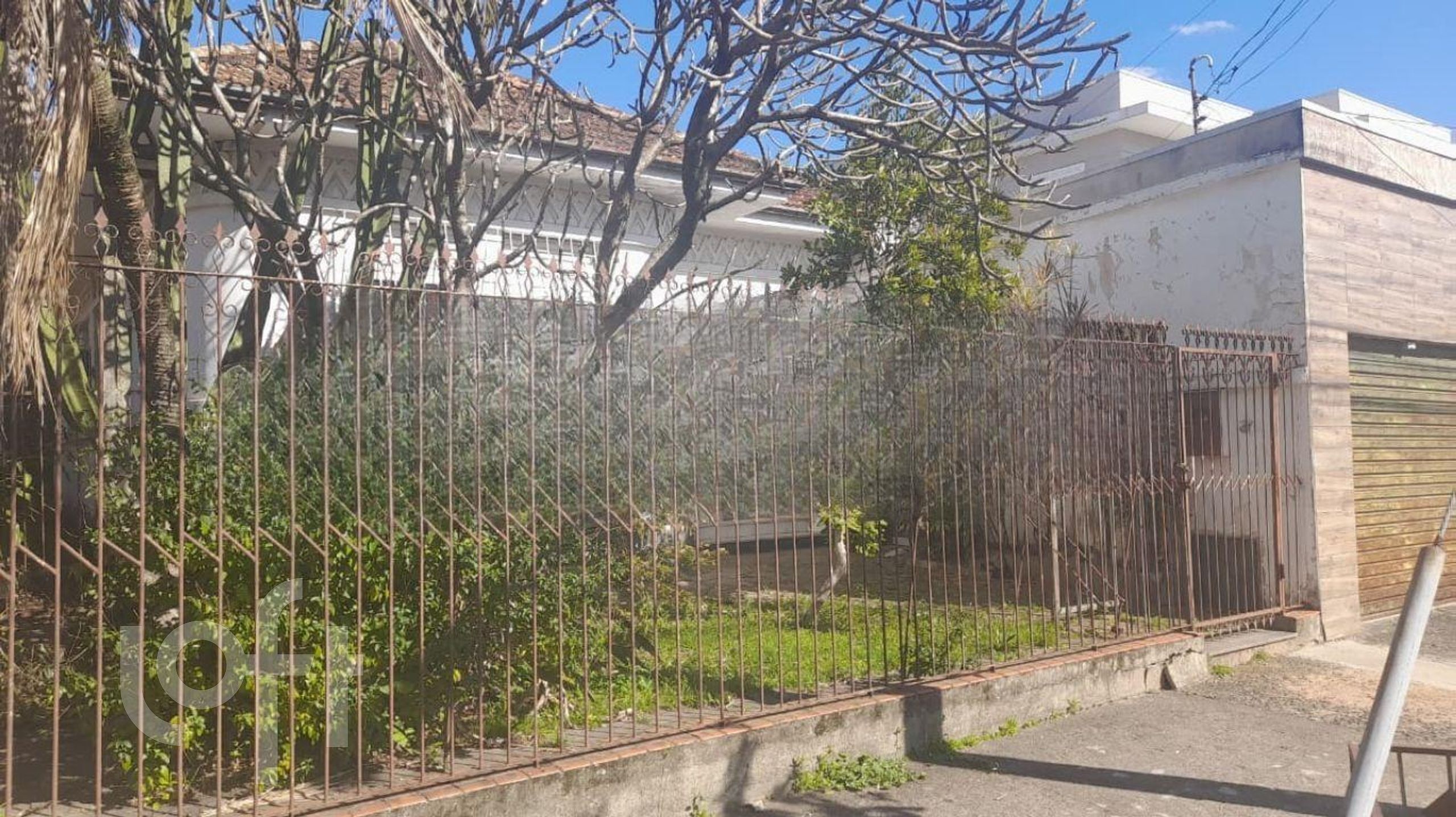 Imagem da propriedade 3