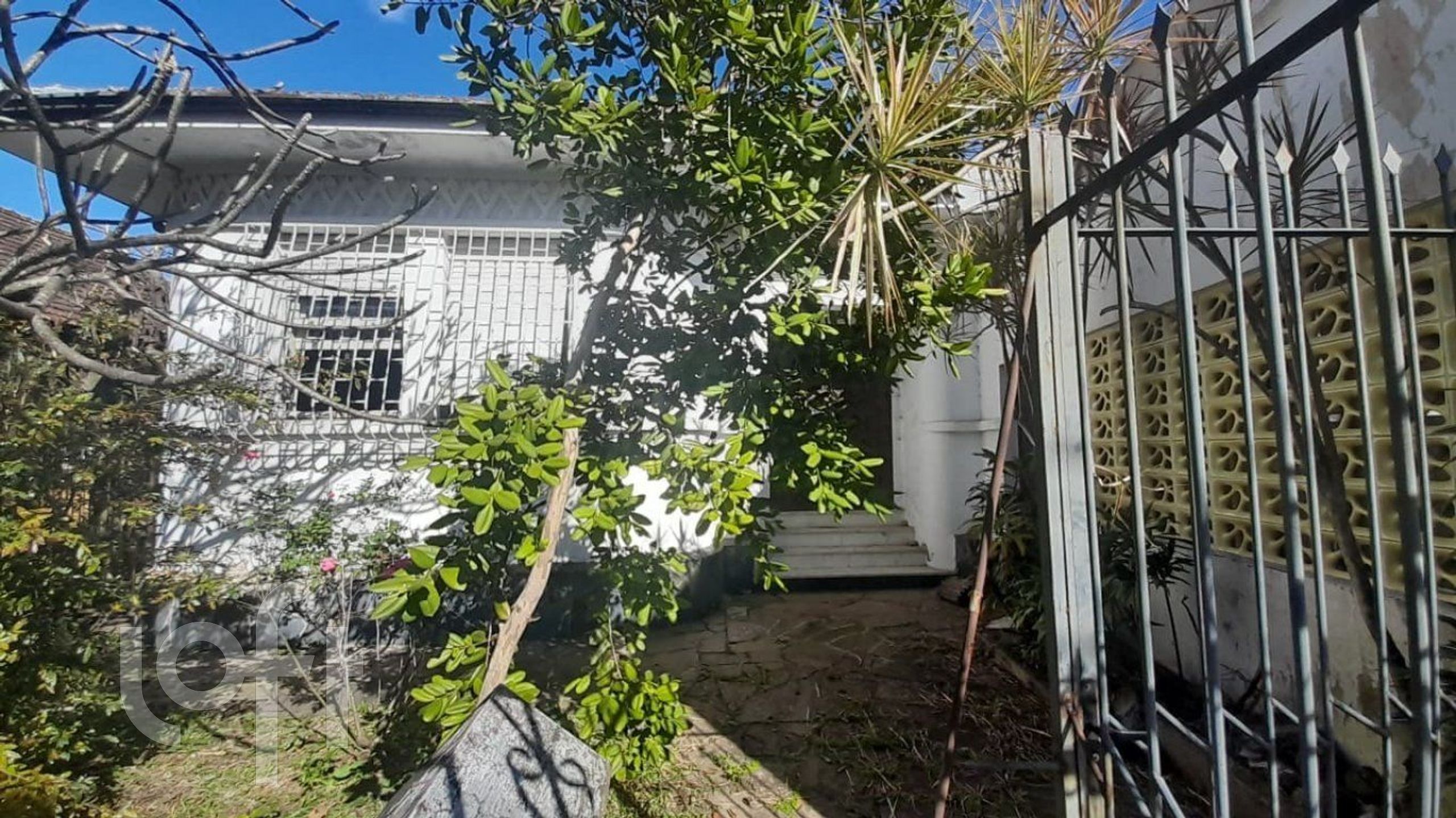 Imagem da propriedade 6