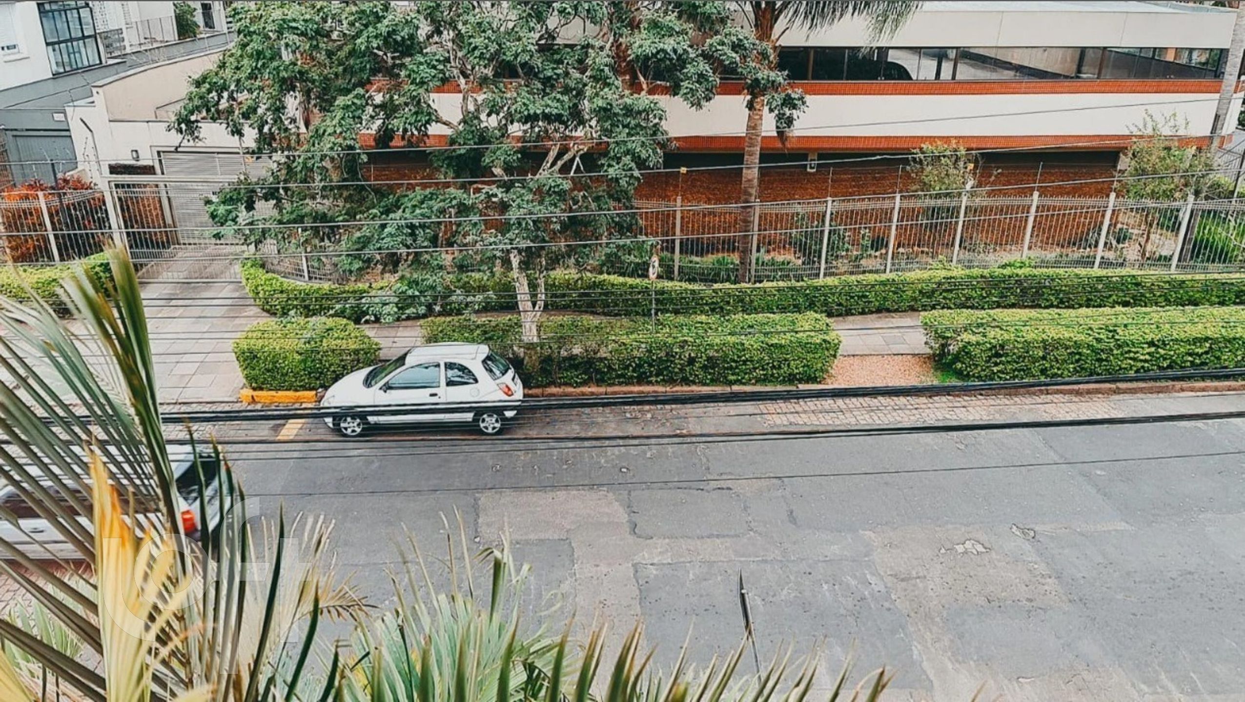 Imagem da propriedade 6