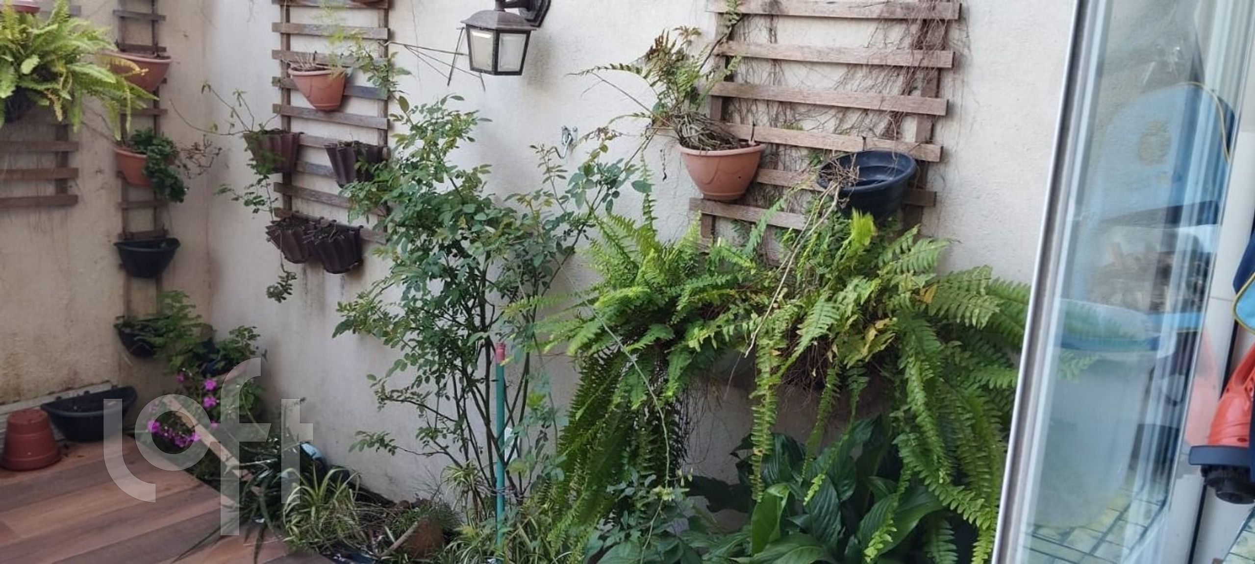 Imagem da propriedade 27