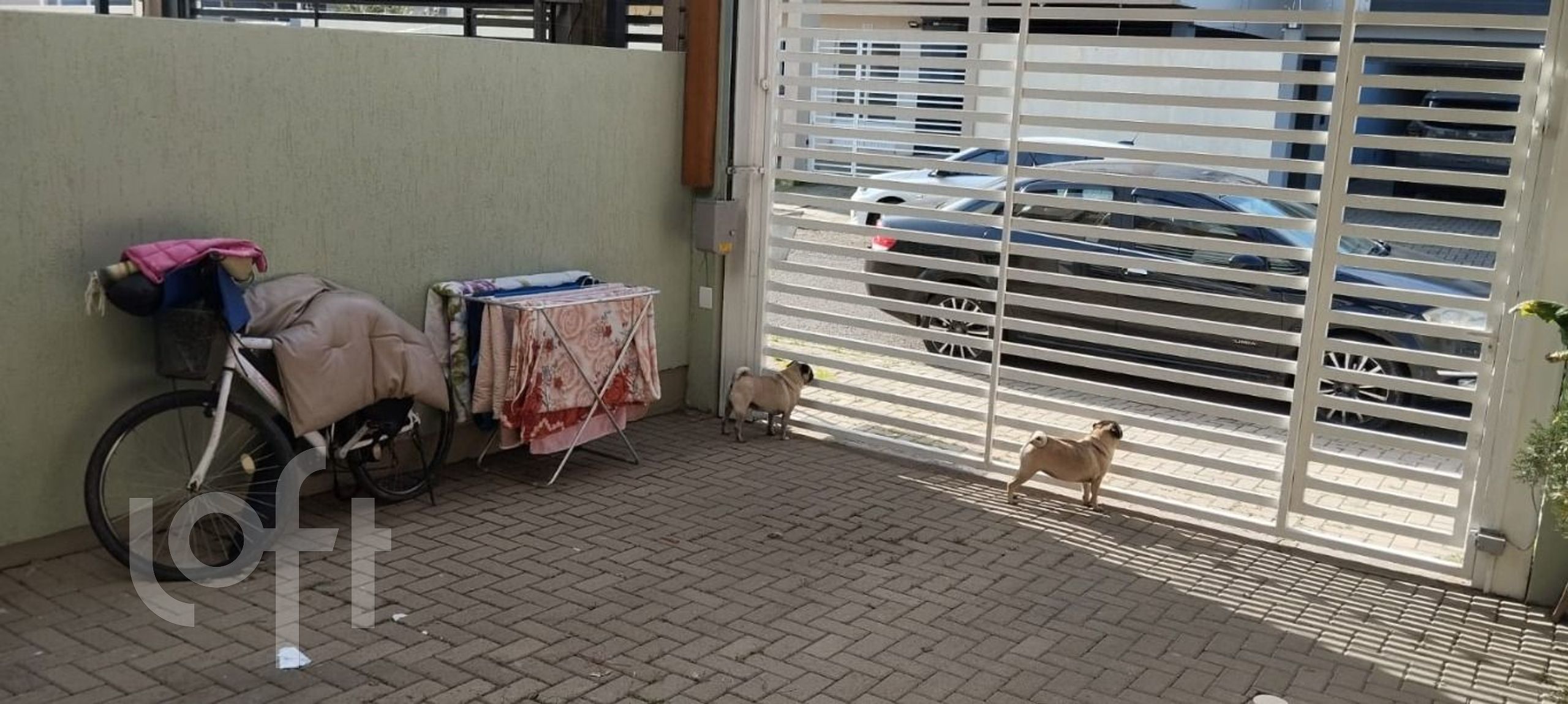 Imagem da propriedade 30