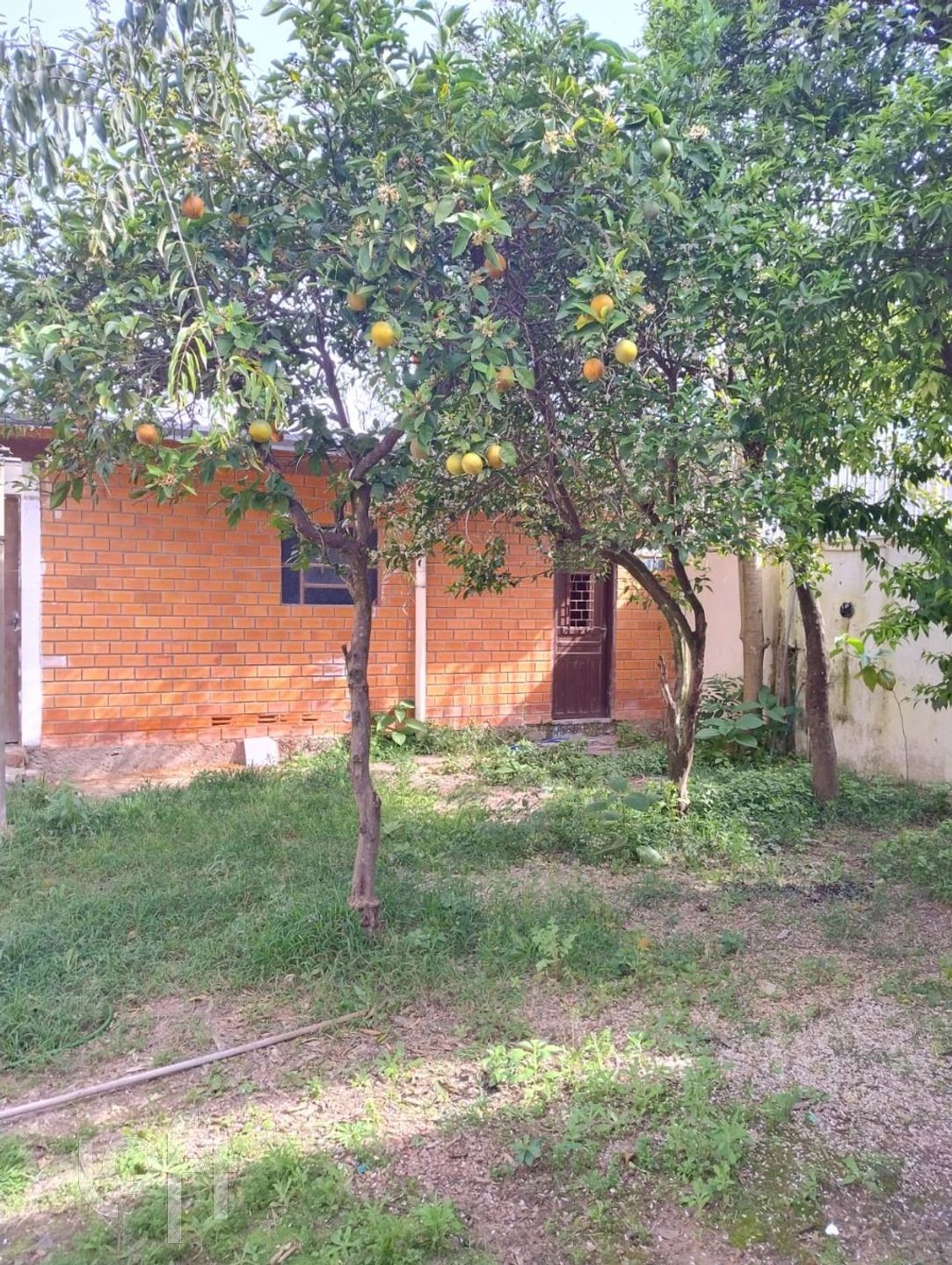 Imagem da propriedade 11