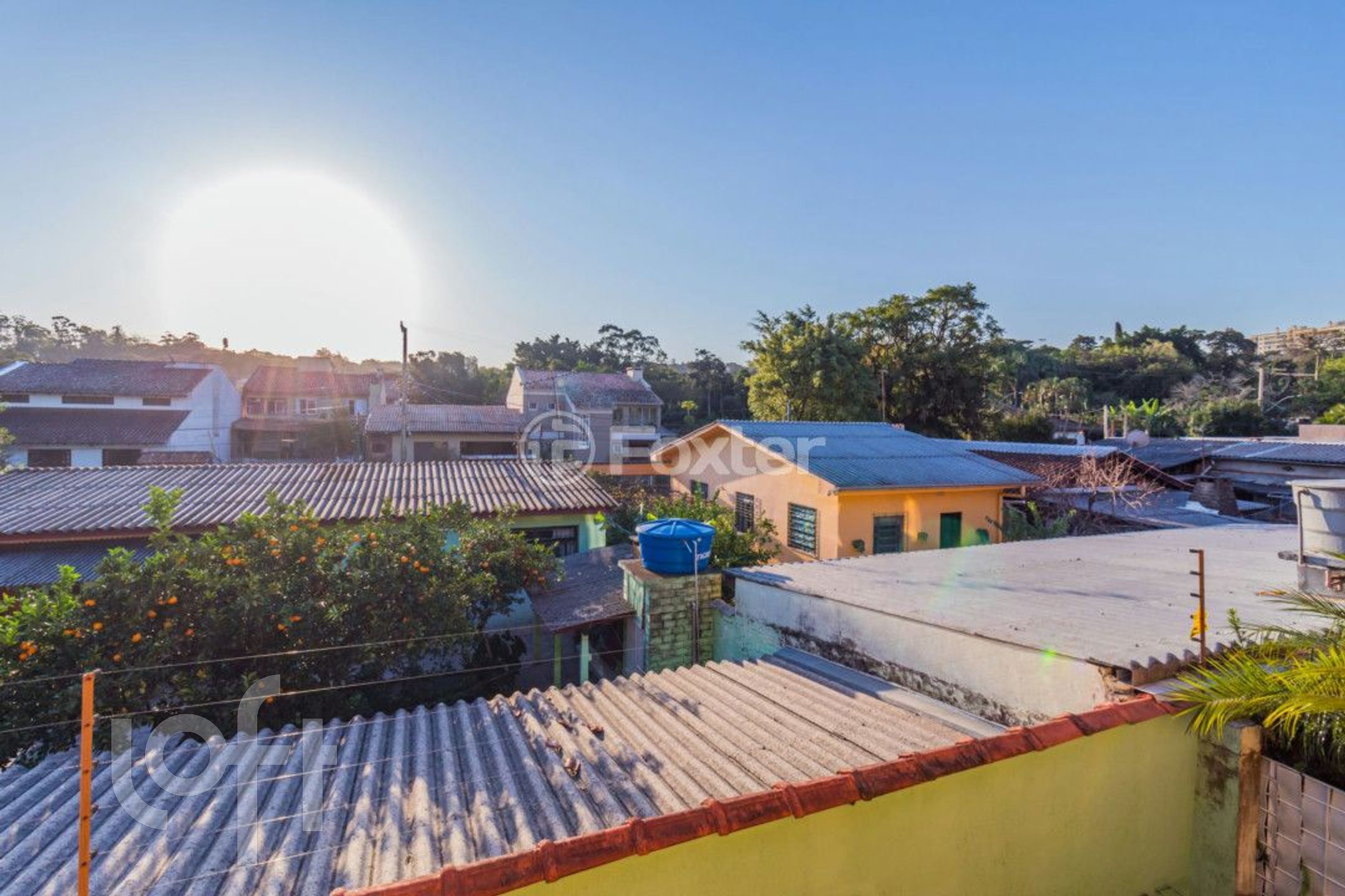 Imagem da propriedade 13